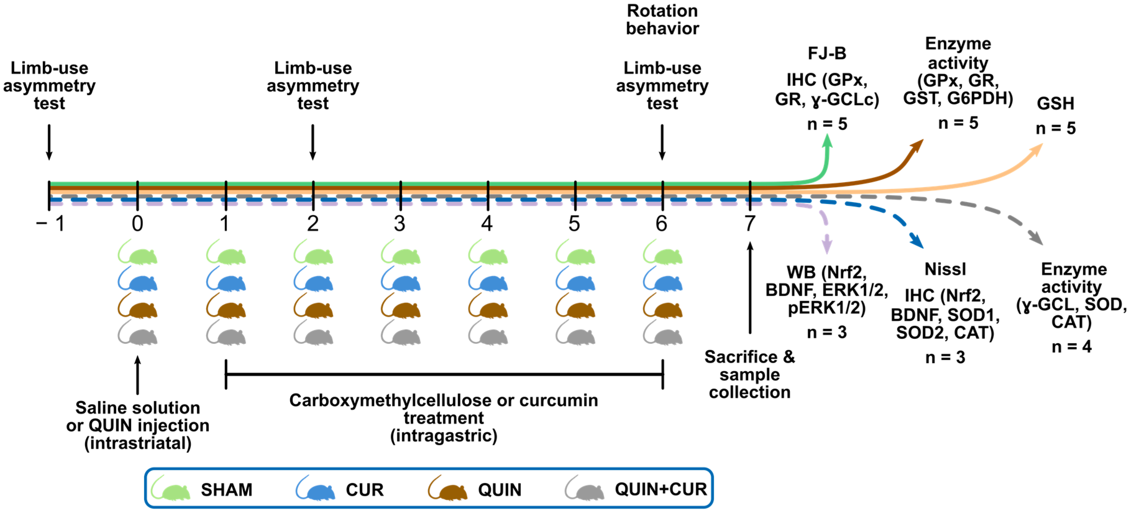 Antioxidants 08 00388 g001 Antioxidants 08 00388 g001