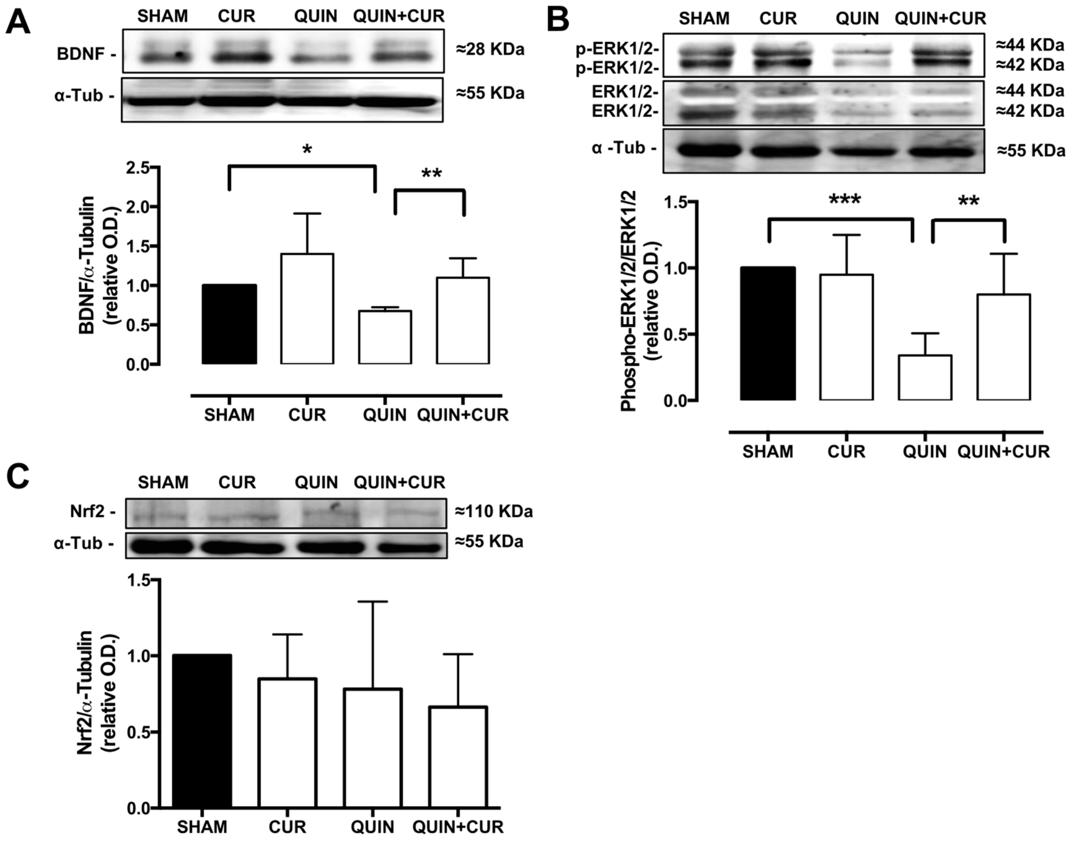 Antioxidants 08 00388 g005 Antioxidants 08 00388 g005