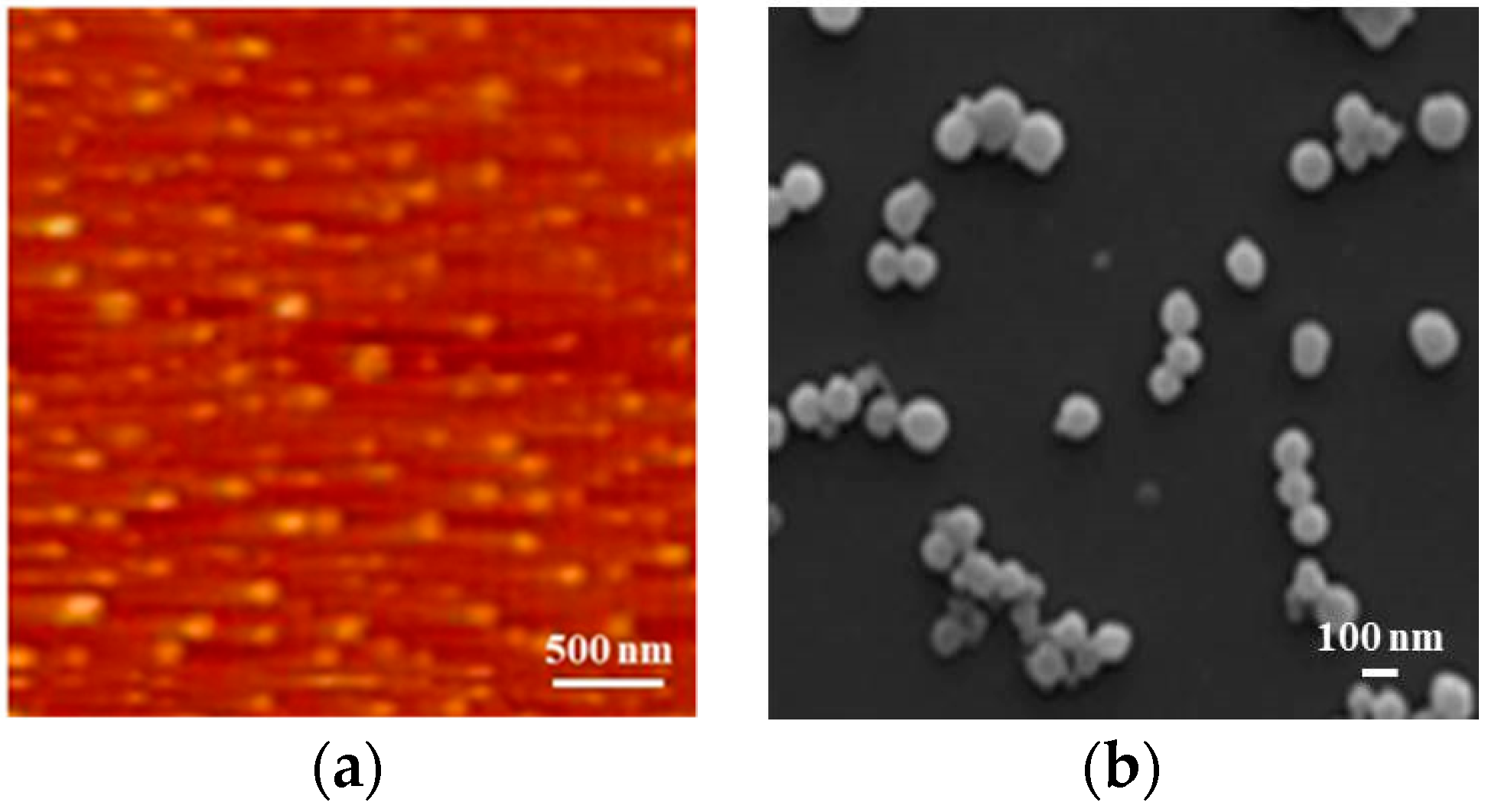 Antioxidants 08 00391 g003