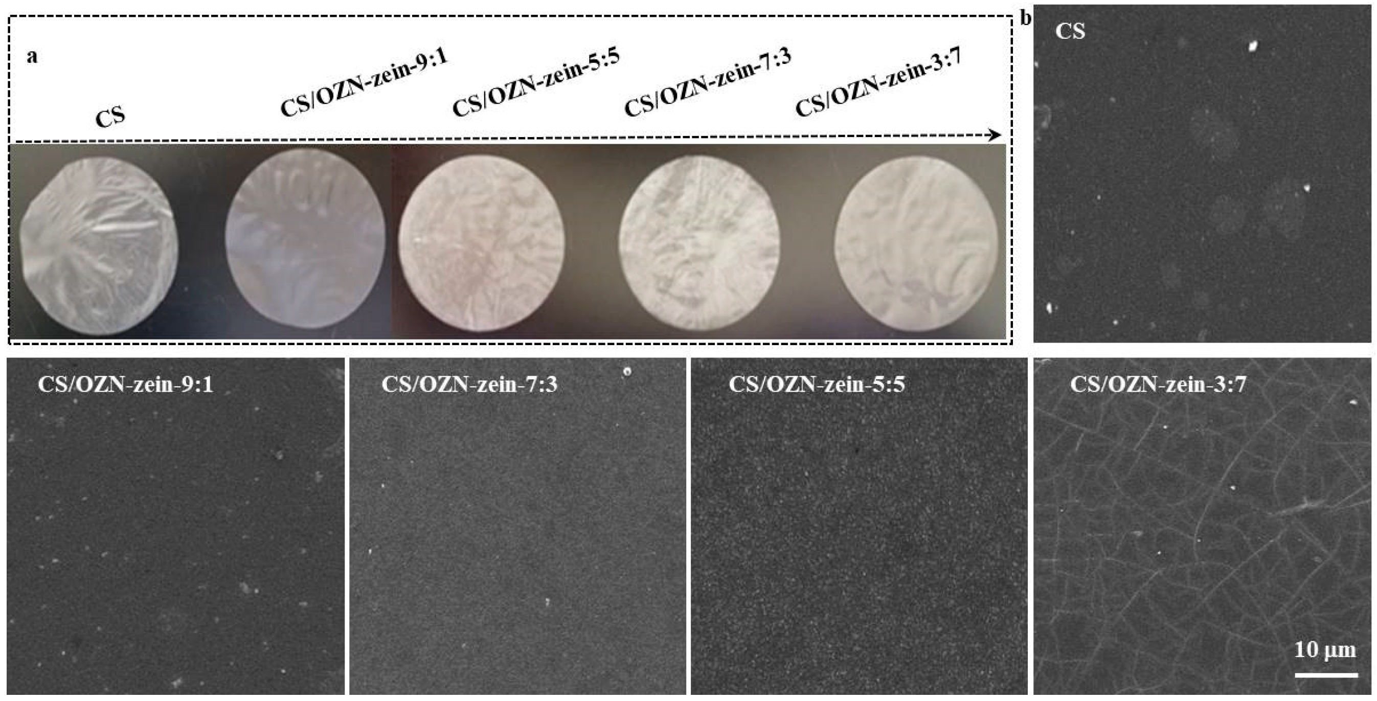 Antioxidants 08 00391 g005