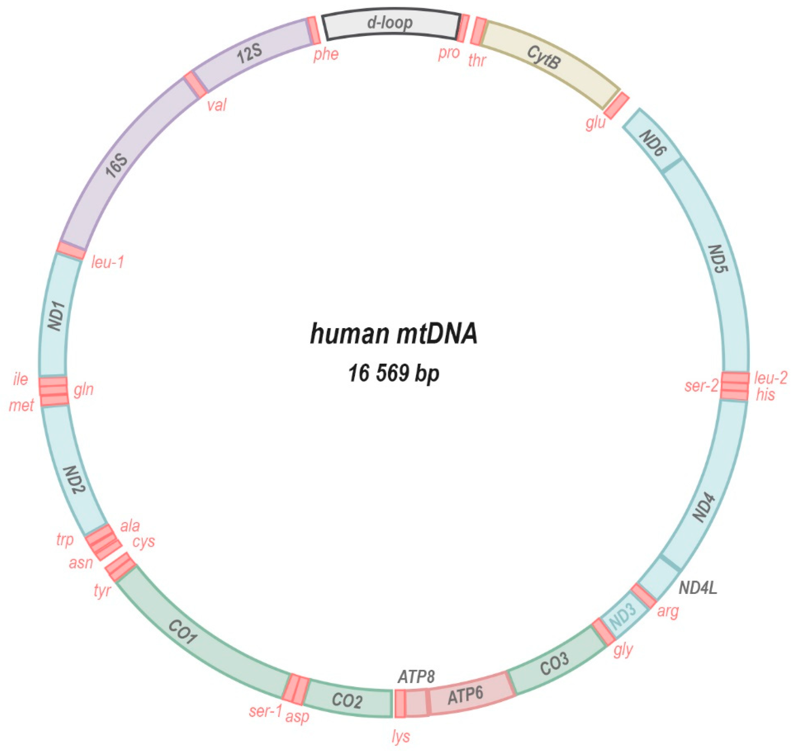 Antioxidants 08 00392 g002