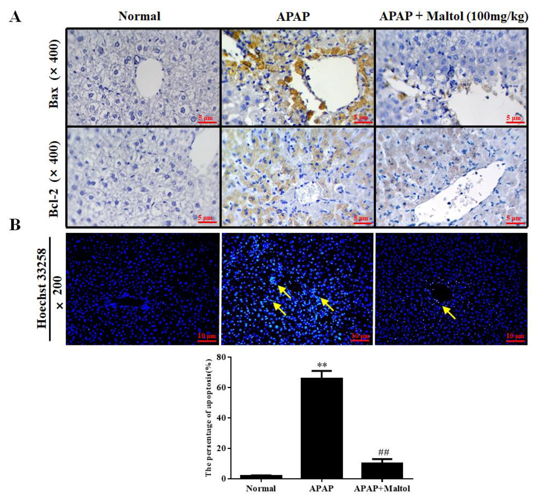 Antioxidants 08 00395 g004