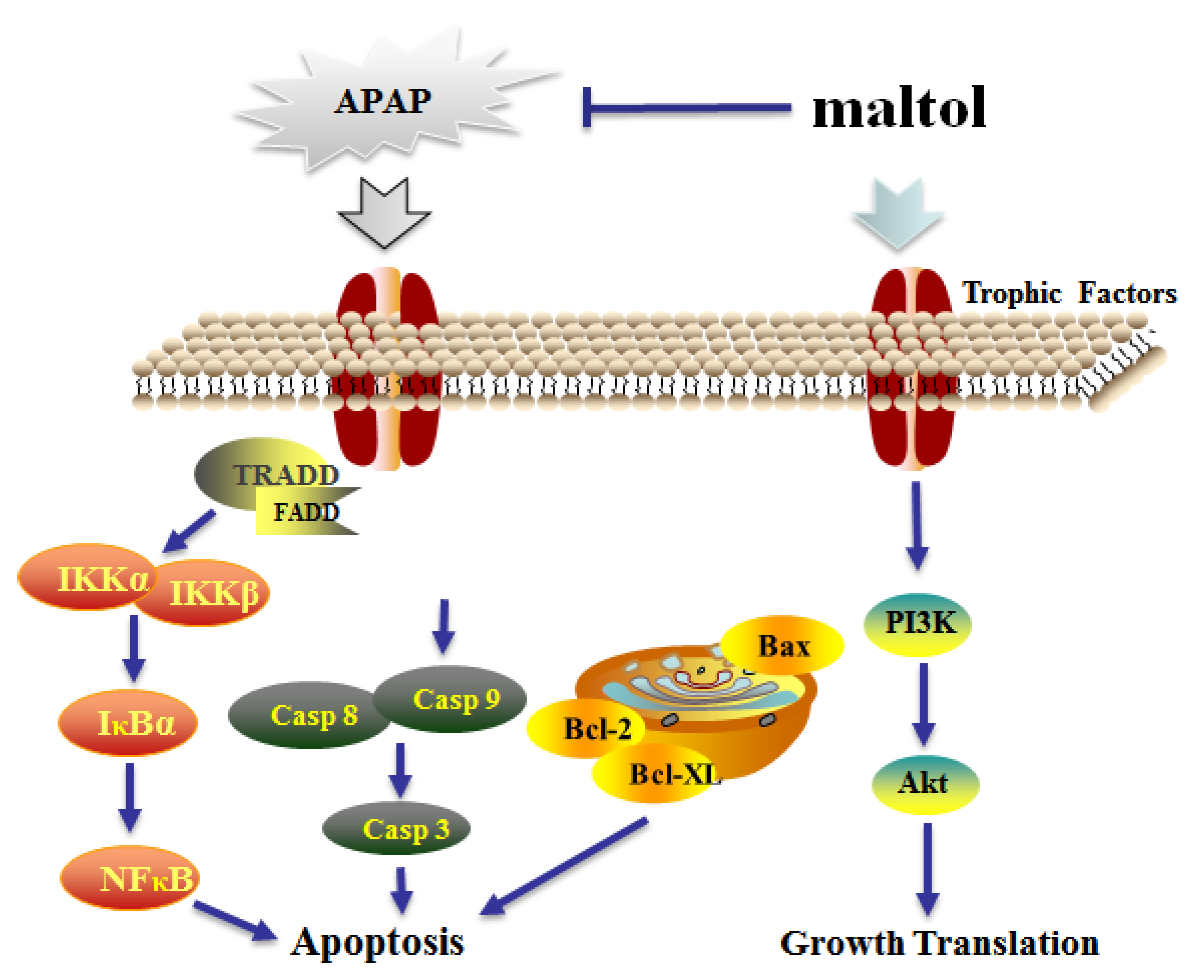 Antioxidants 08 00395 g008