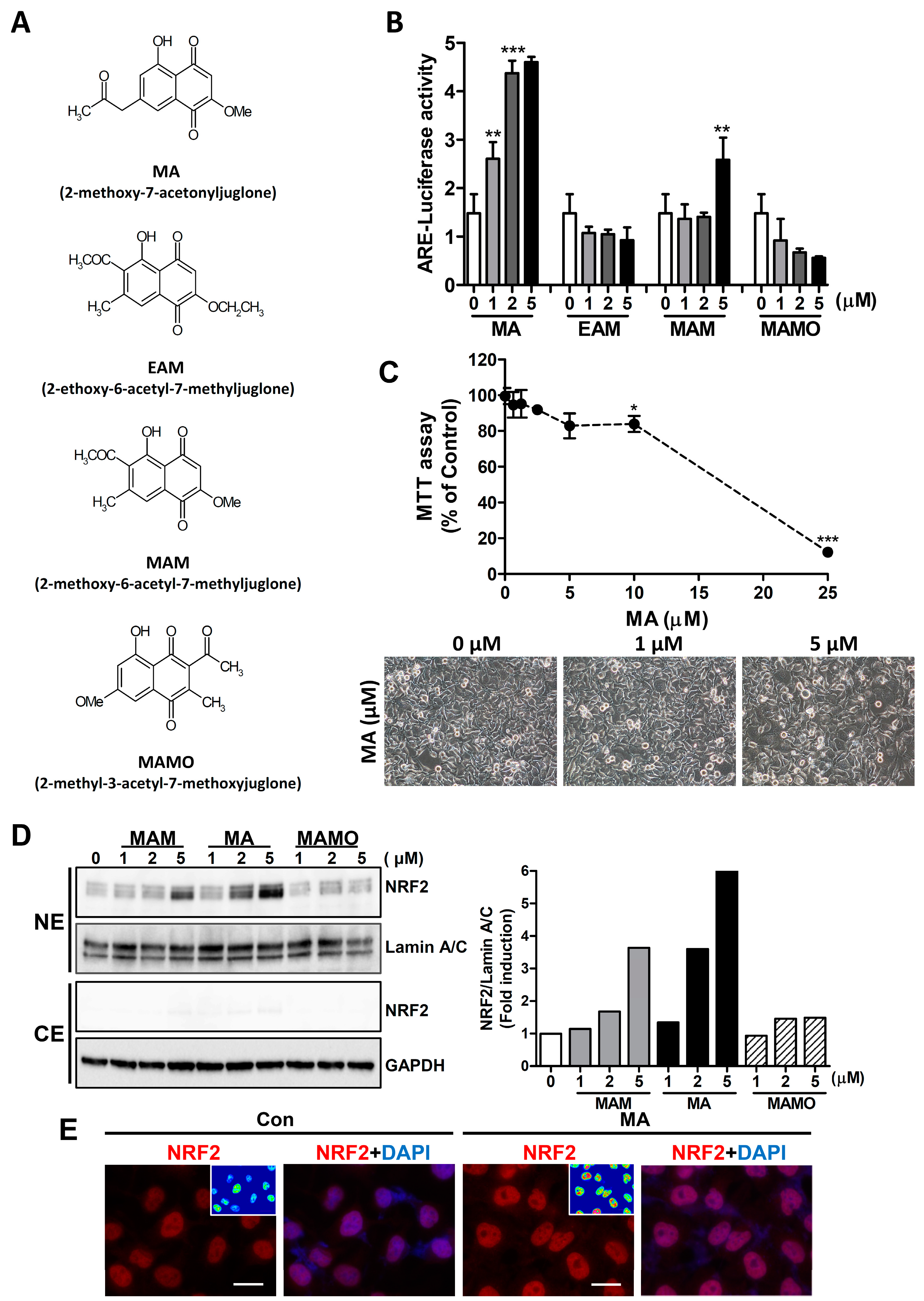 Antioxidants 08 00398 g001