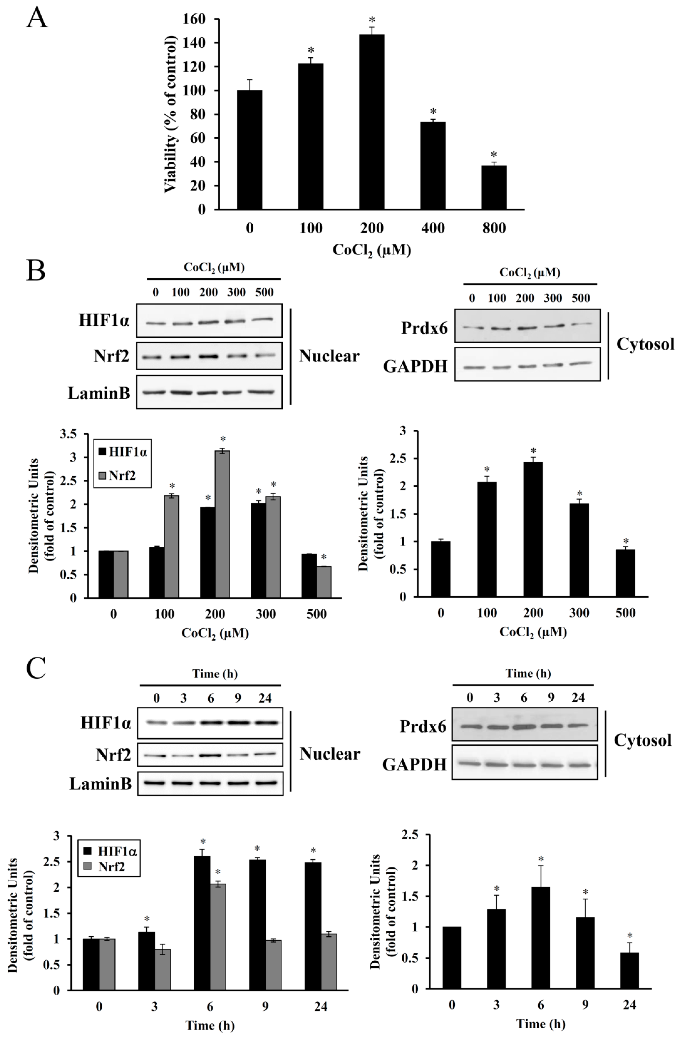 Antioxidants 08 00399 g002 Antioxidants 08 00399 g002