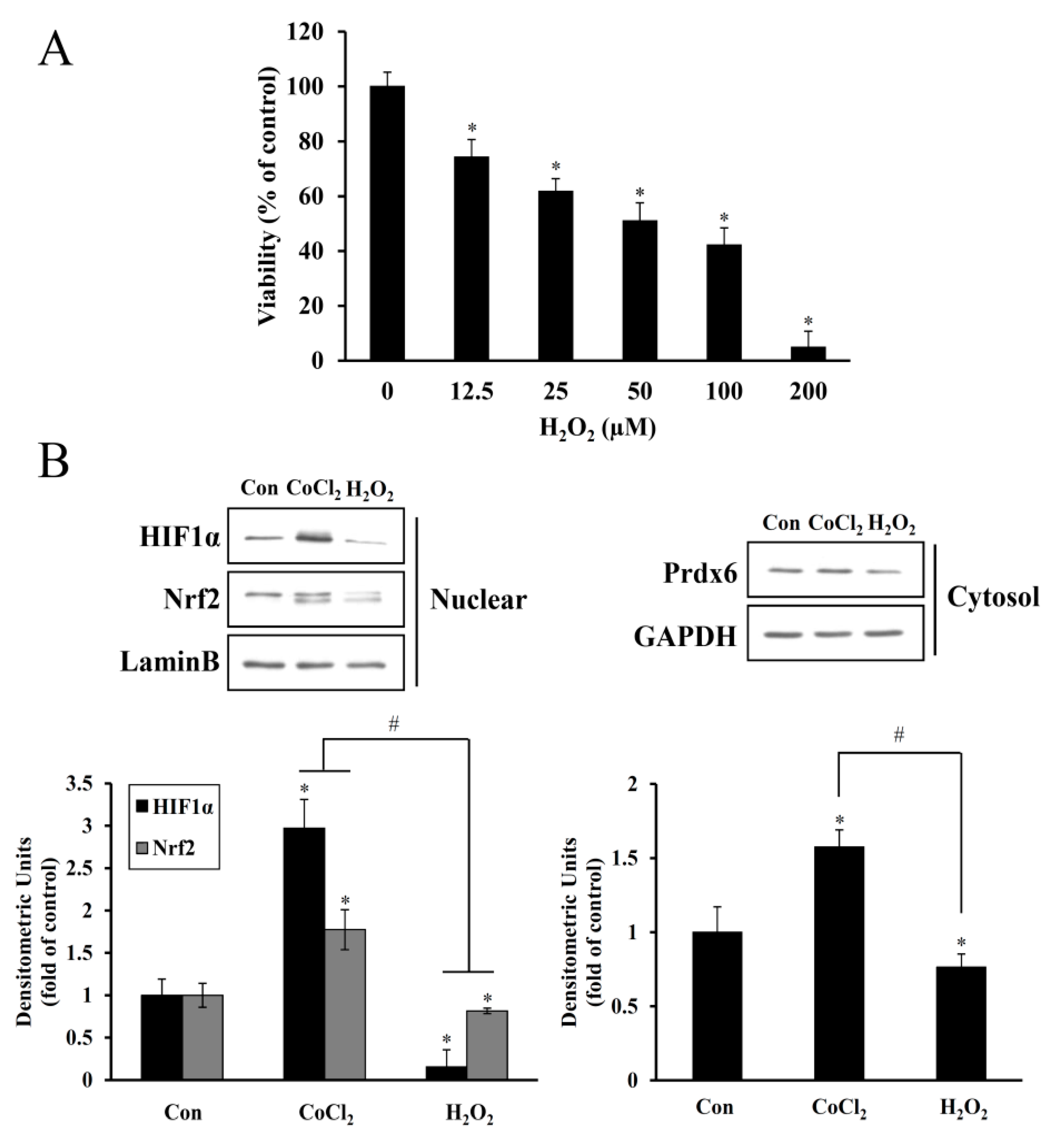 Antioxidants 08 00399 g003 Antioxidants 08 00399 g003