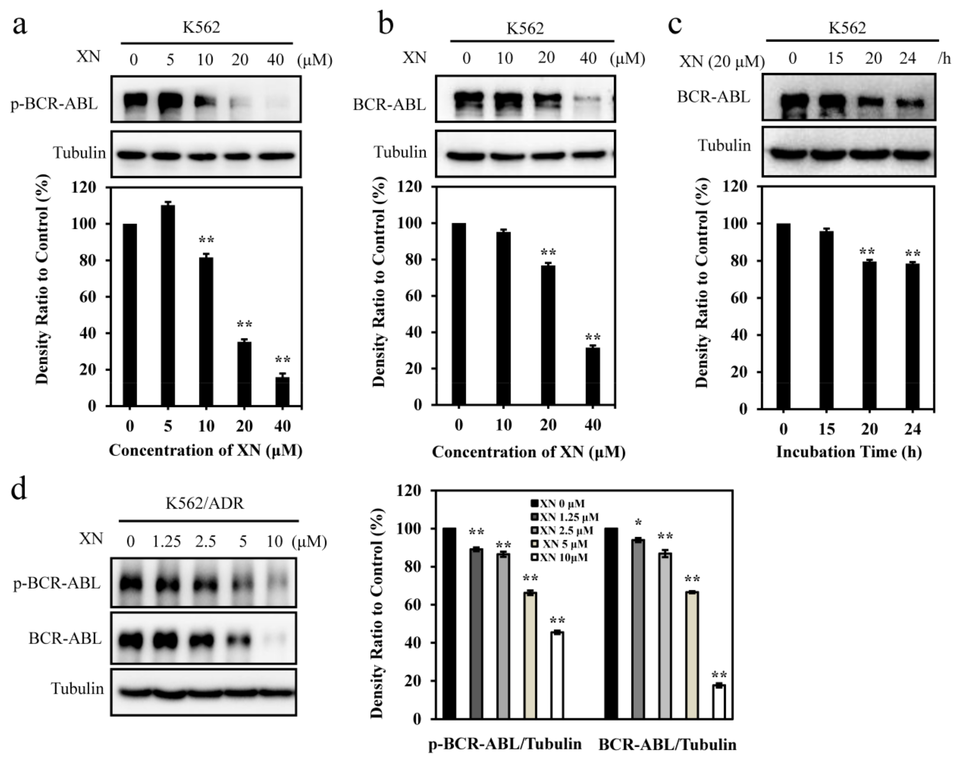 Antioxidants 08 00402 g002 Antioxidants 08 00402 g002
