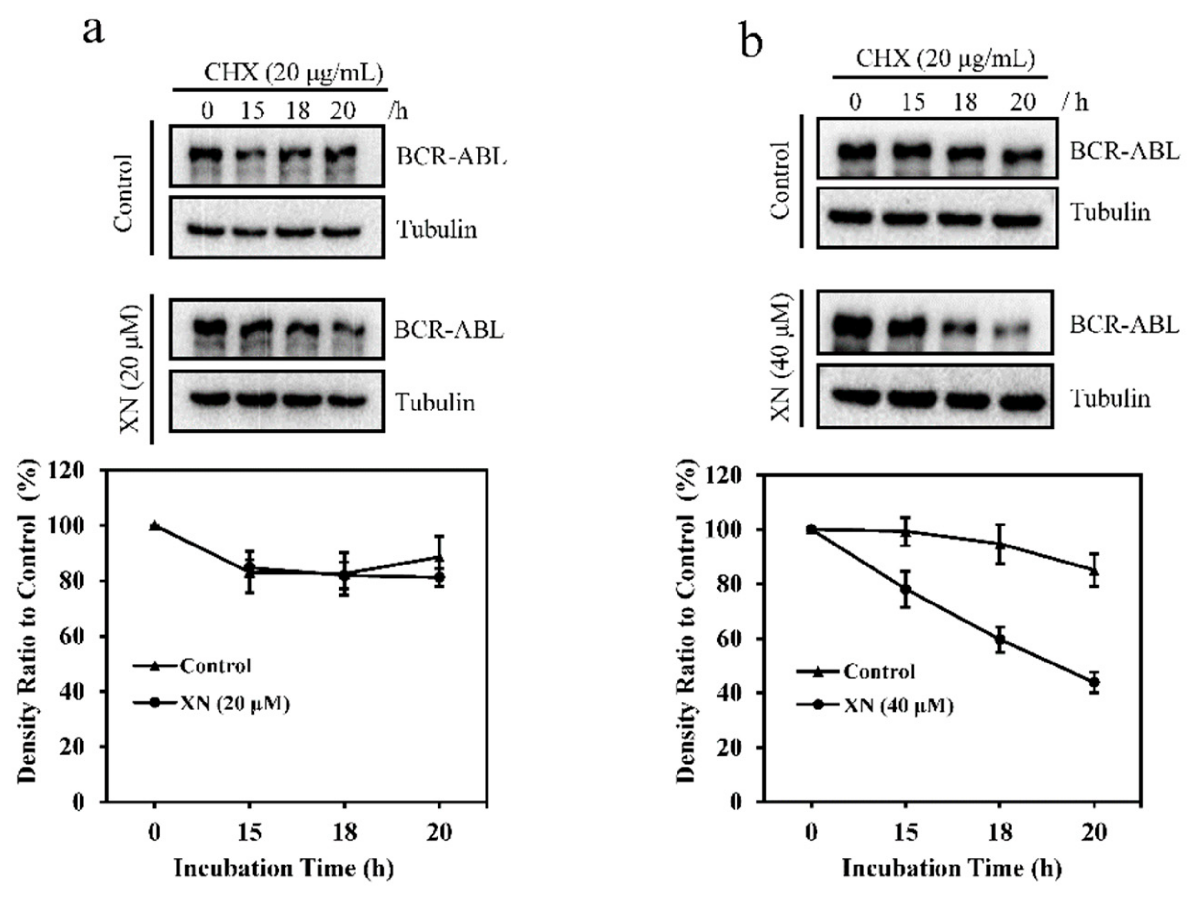 Antioxidants 08 00402 g003 Antioxidants 08 00402 g003