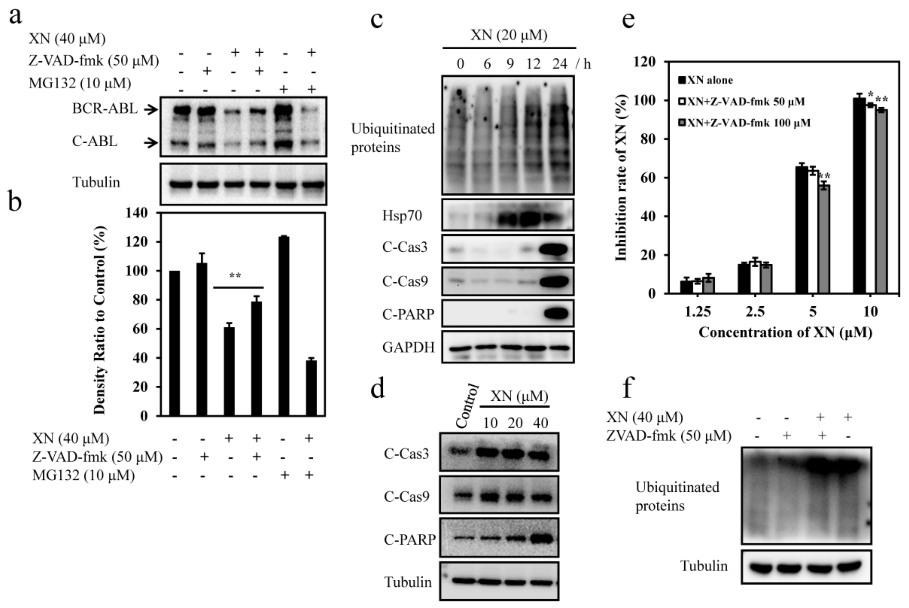 Antioxidants 08 00402 g005 Antioxidants 08 00402 g005
