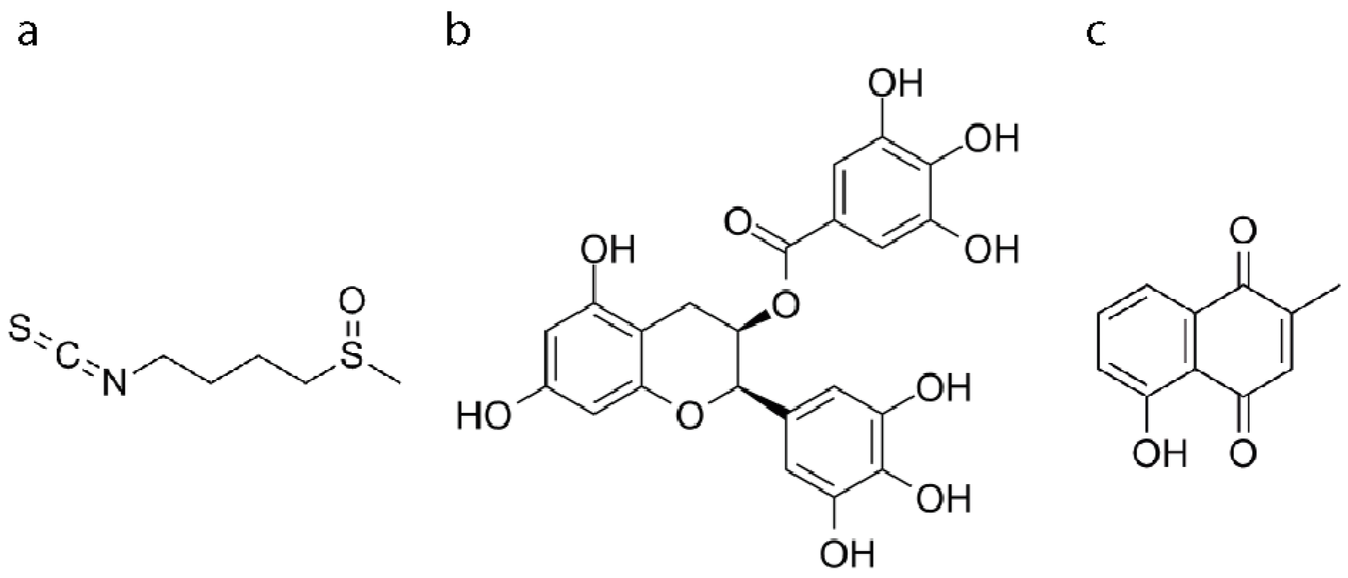 Antioxidants 08 00420 g001