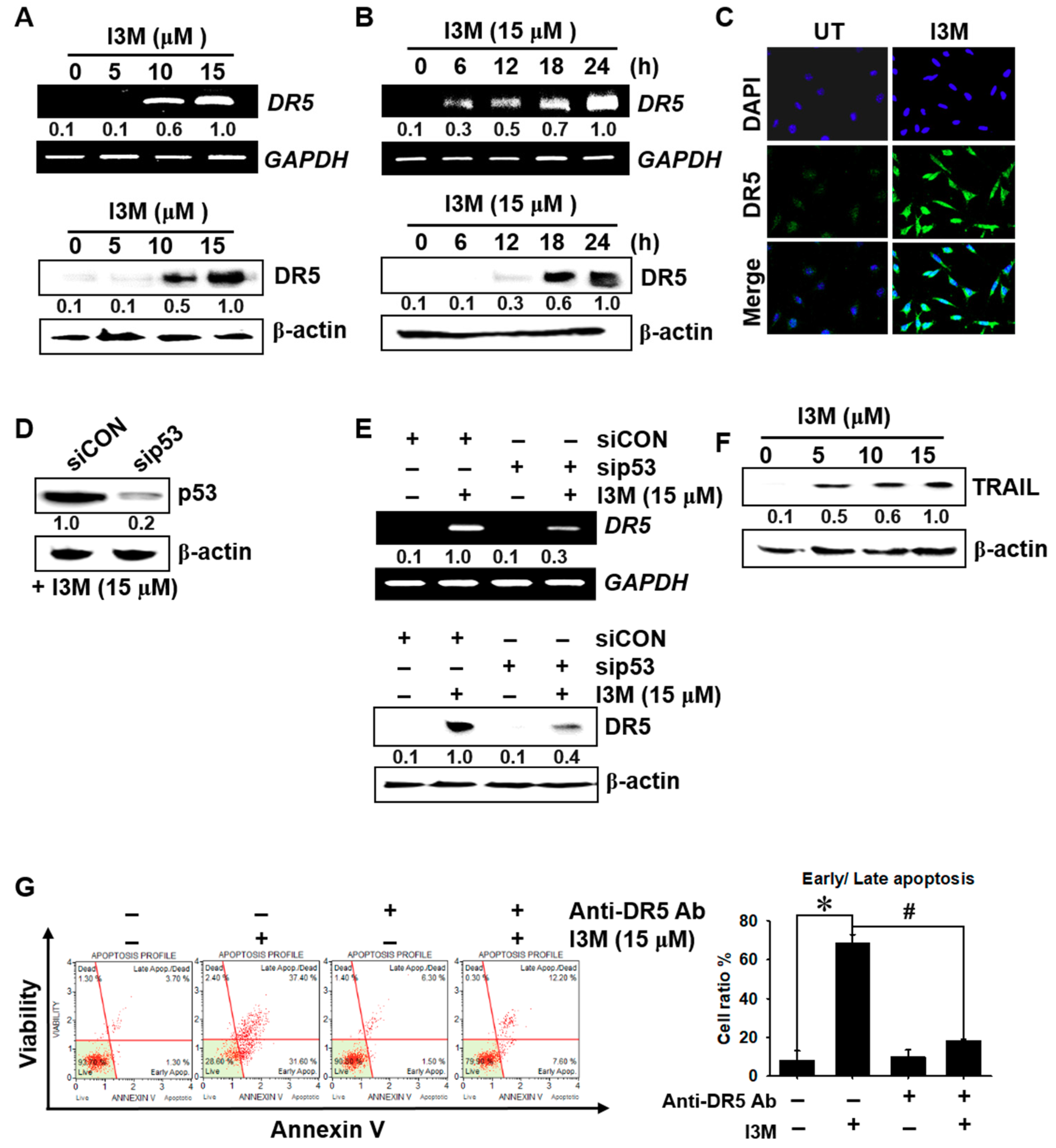 Antioxidants 08 00423 g003