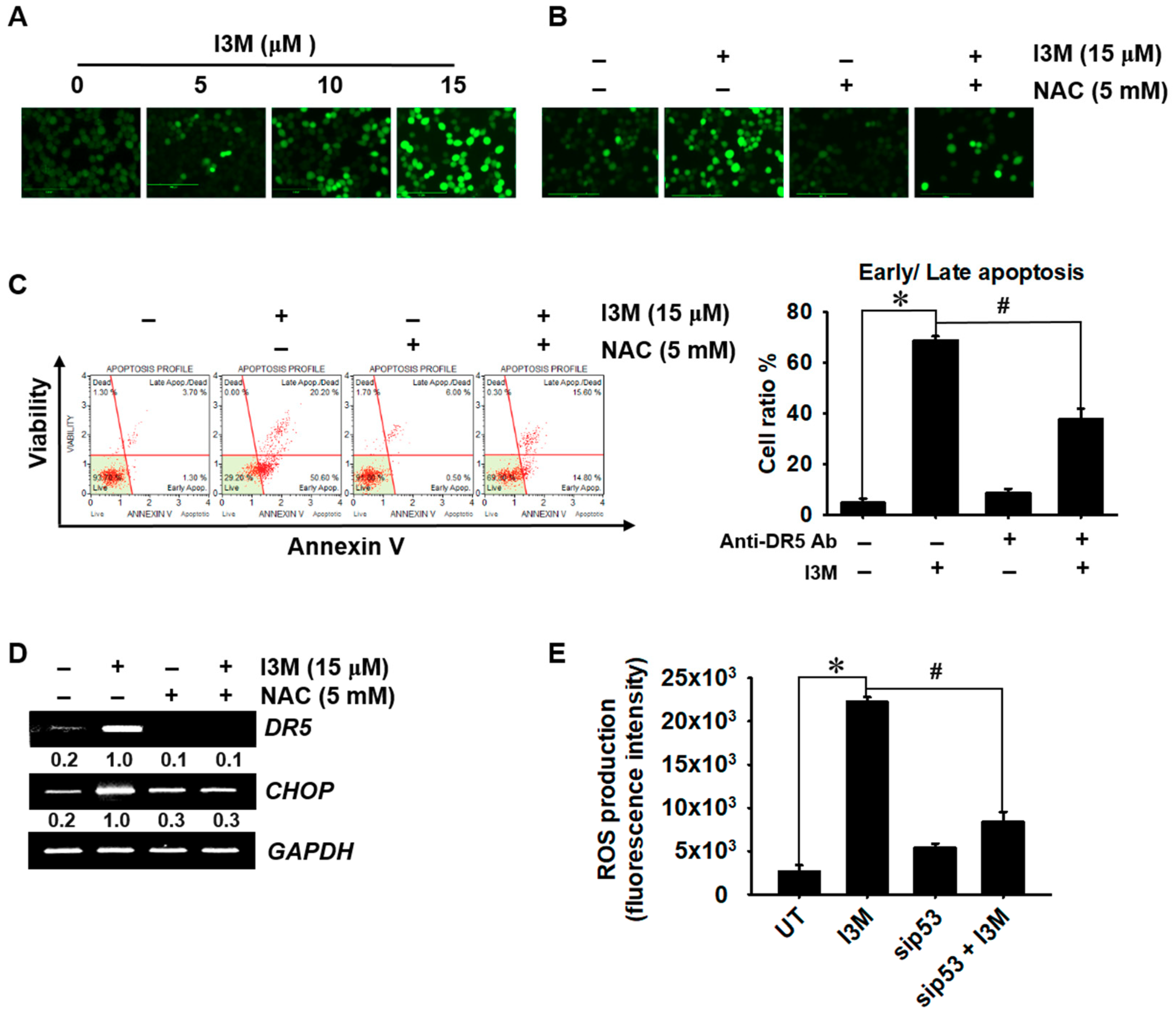Antioxidants 08 00423 g005