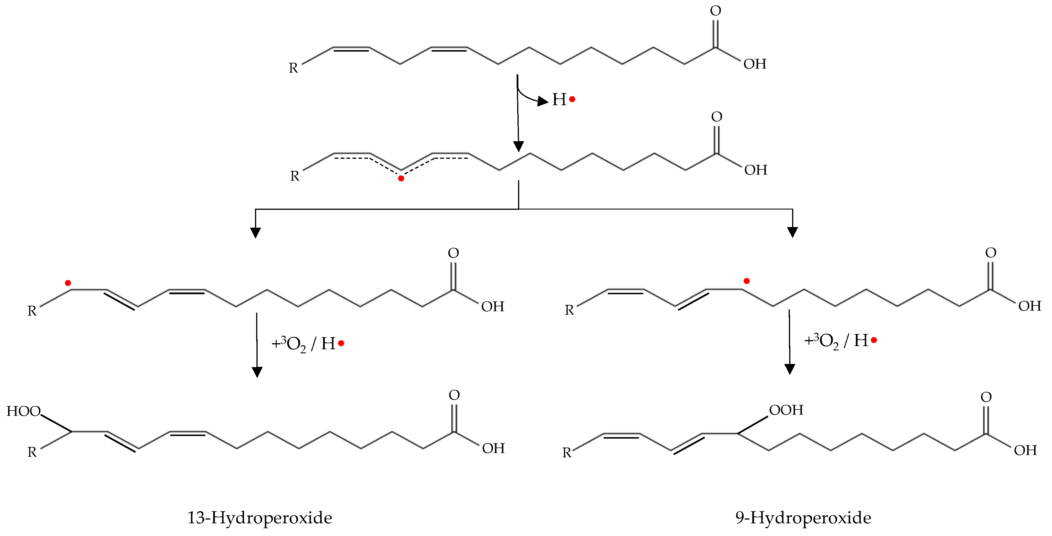 Antioxidants 08 00429 g002