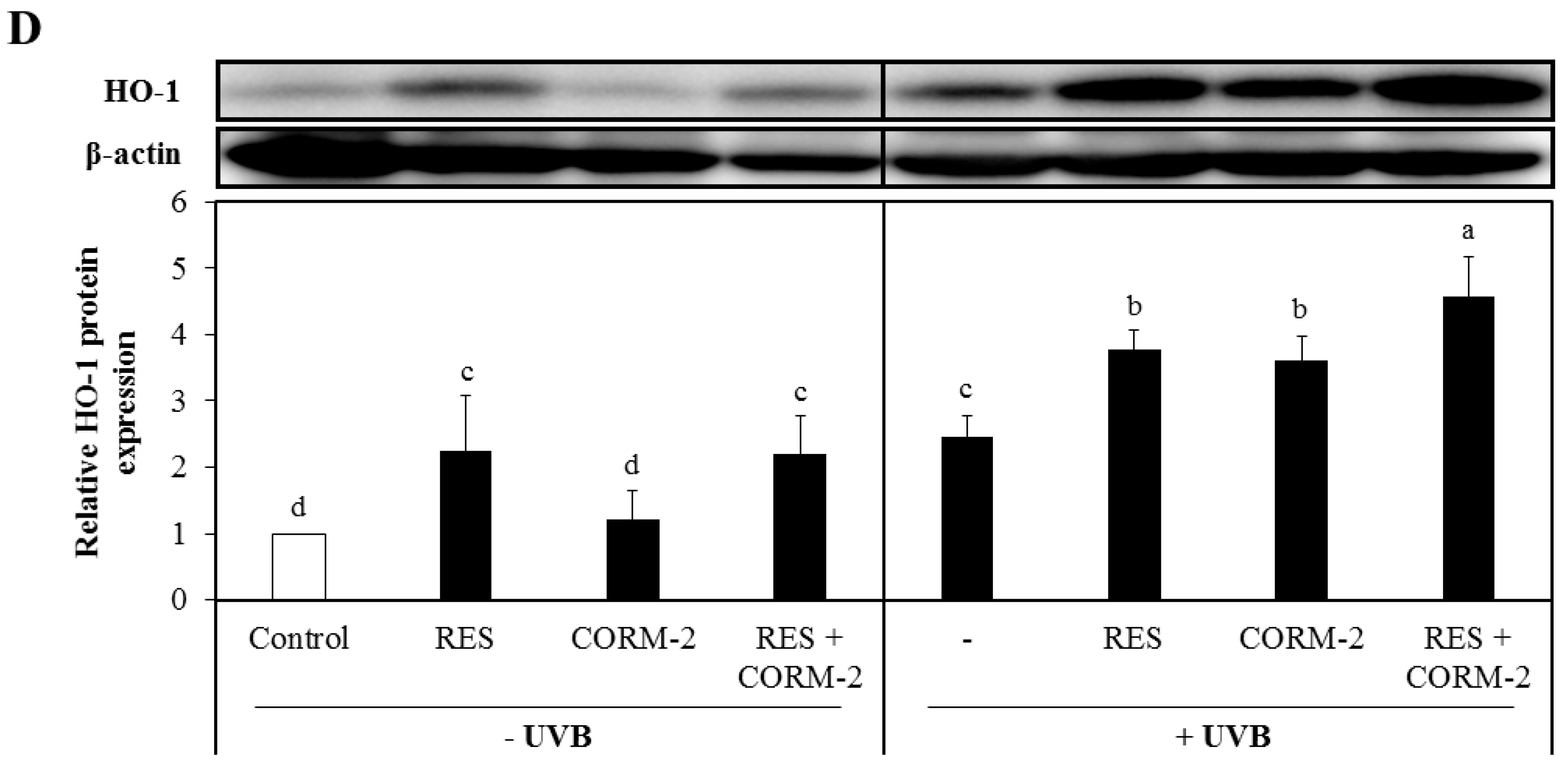 Antioxidants 08 00432 g001b