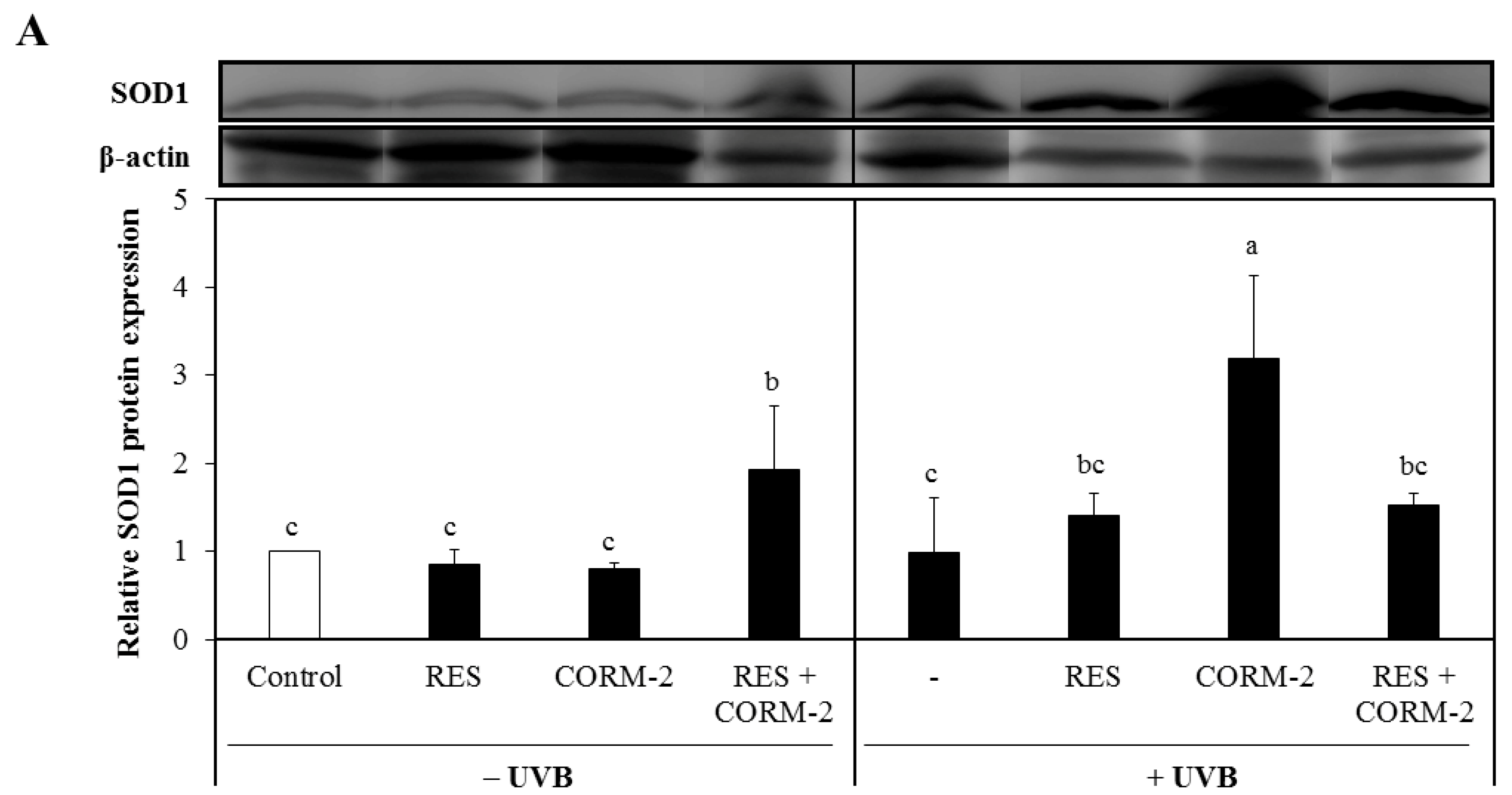 Antioxidants 08 00432 g003a