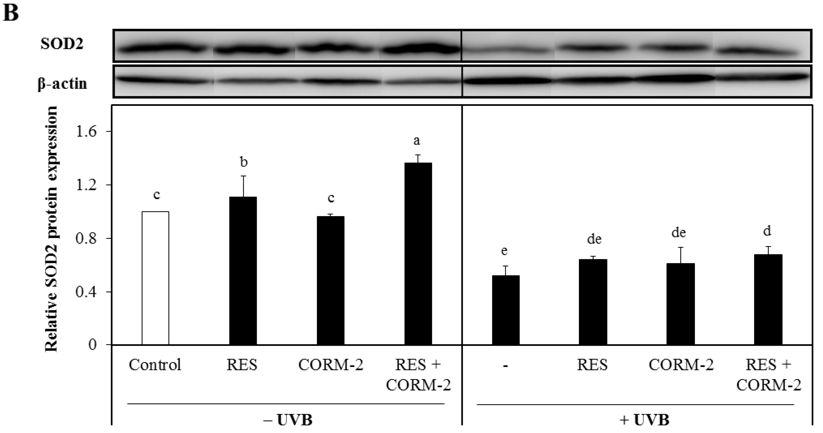Antioxidants 08 00432 g003b