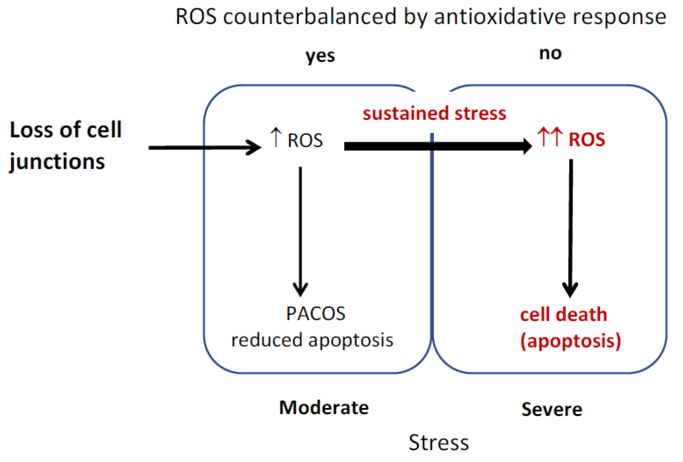 Antioxidants 08 00434 g005