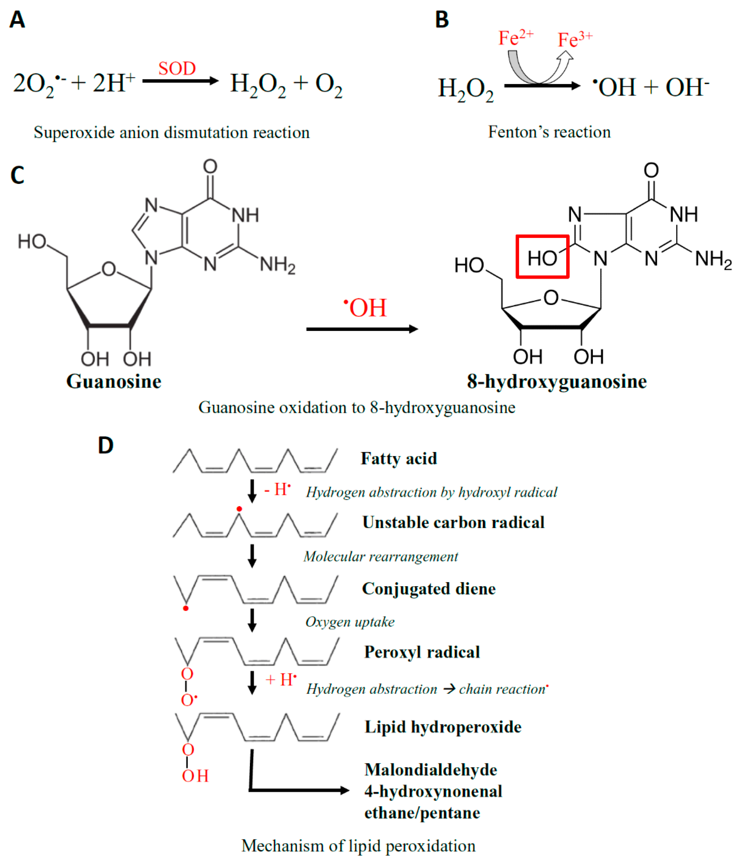 Antioxidants 08 00436 g002 Antioxidants 08 00436 g002