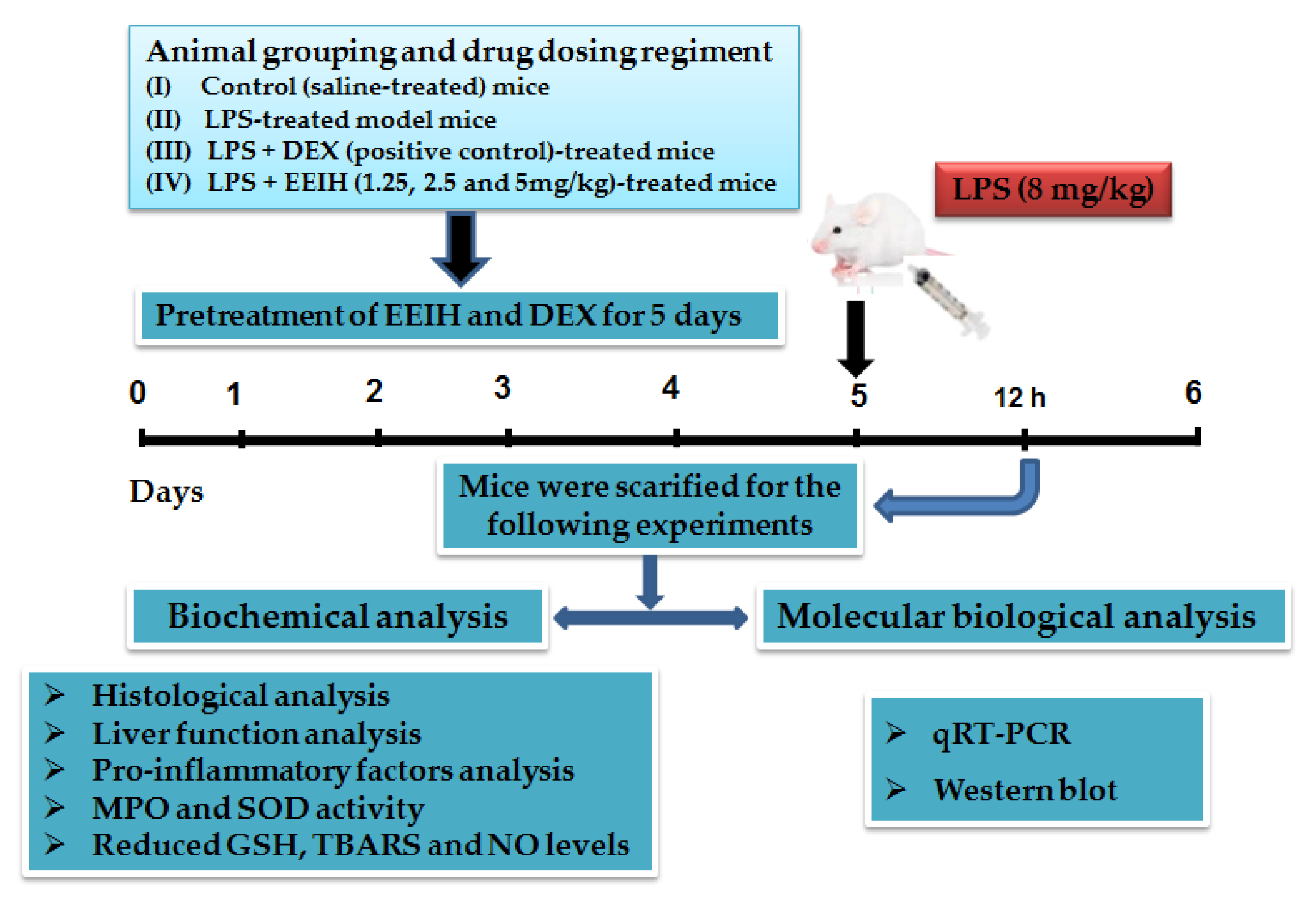 Antioxidants 08 00446 g001 Antioxidants 08 00446 g001