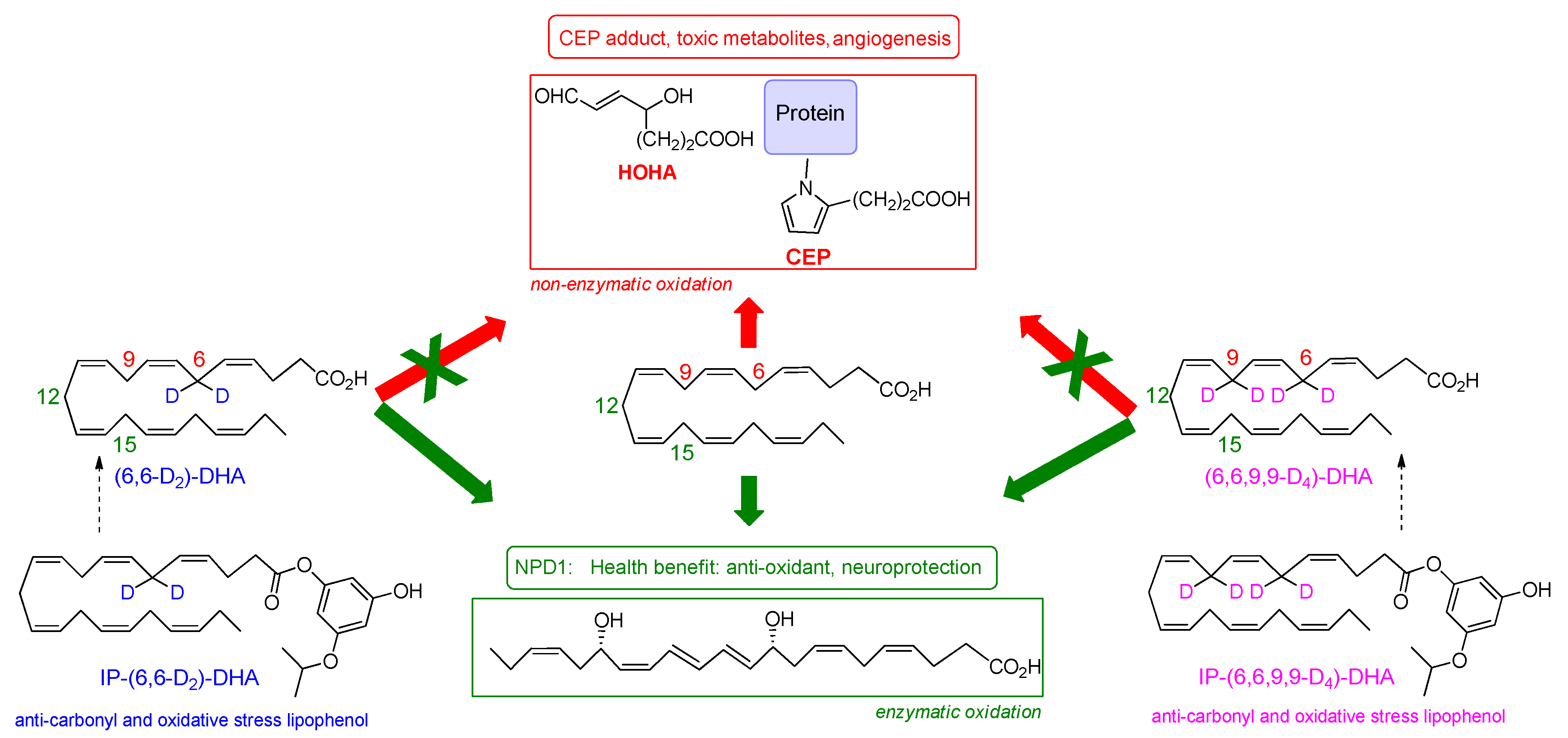Antioxidants 08 00447 sch002