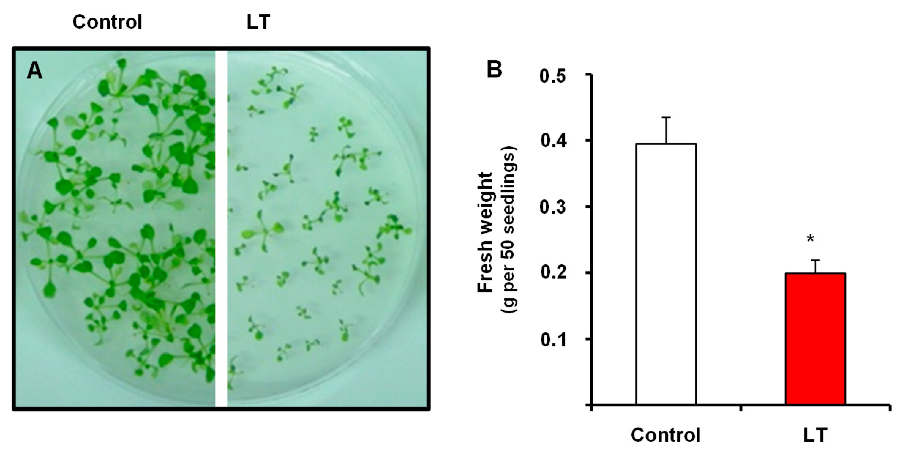 Antioxidants 08 00448 g001