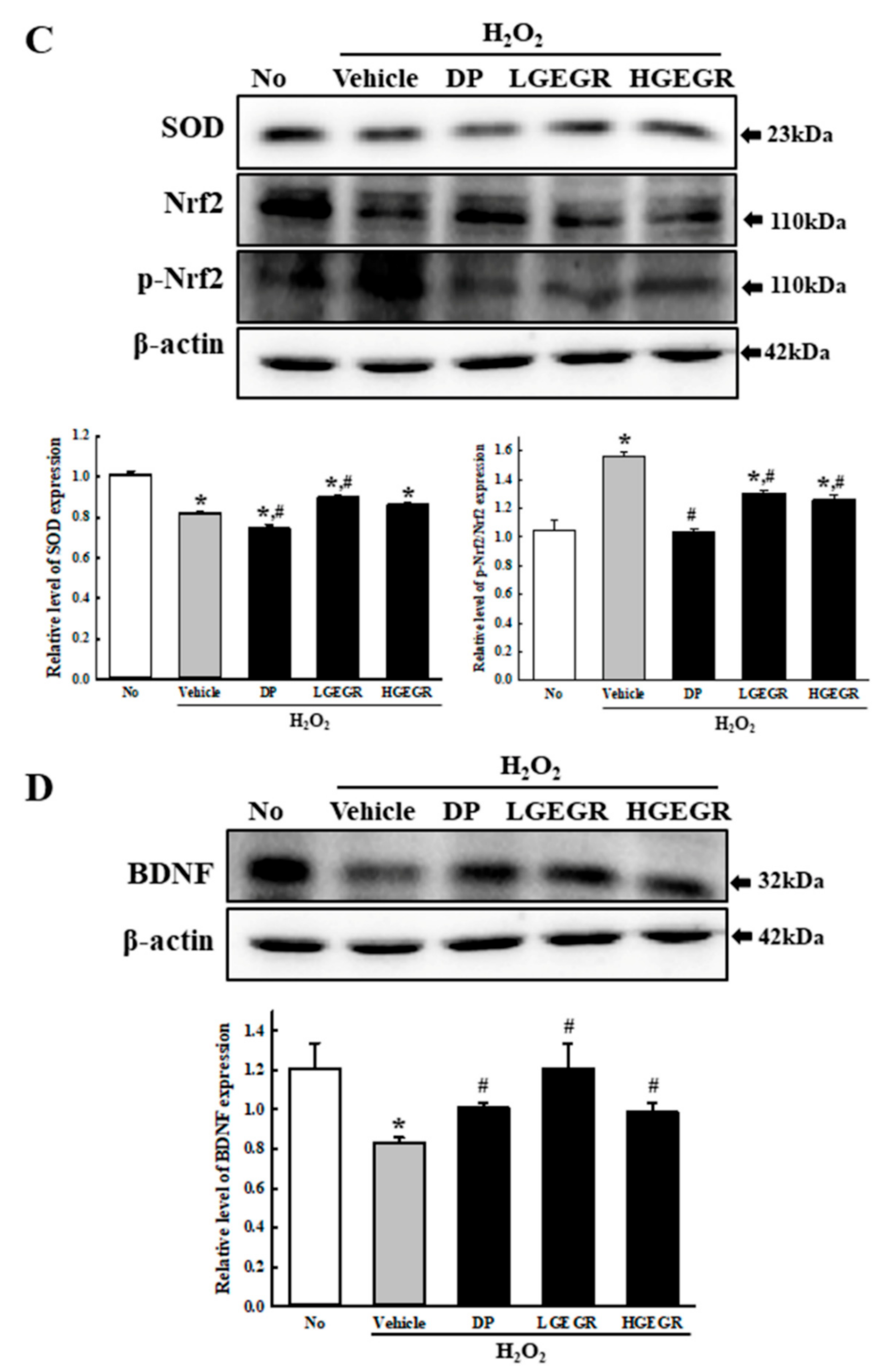 Antioxidants 08 00450 g001b