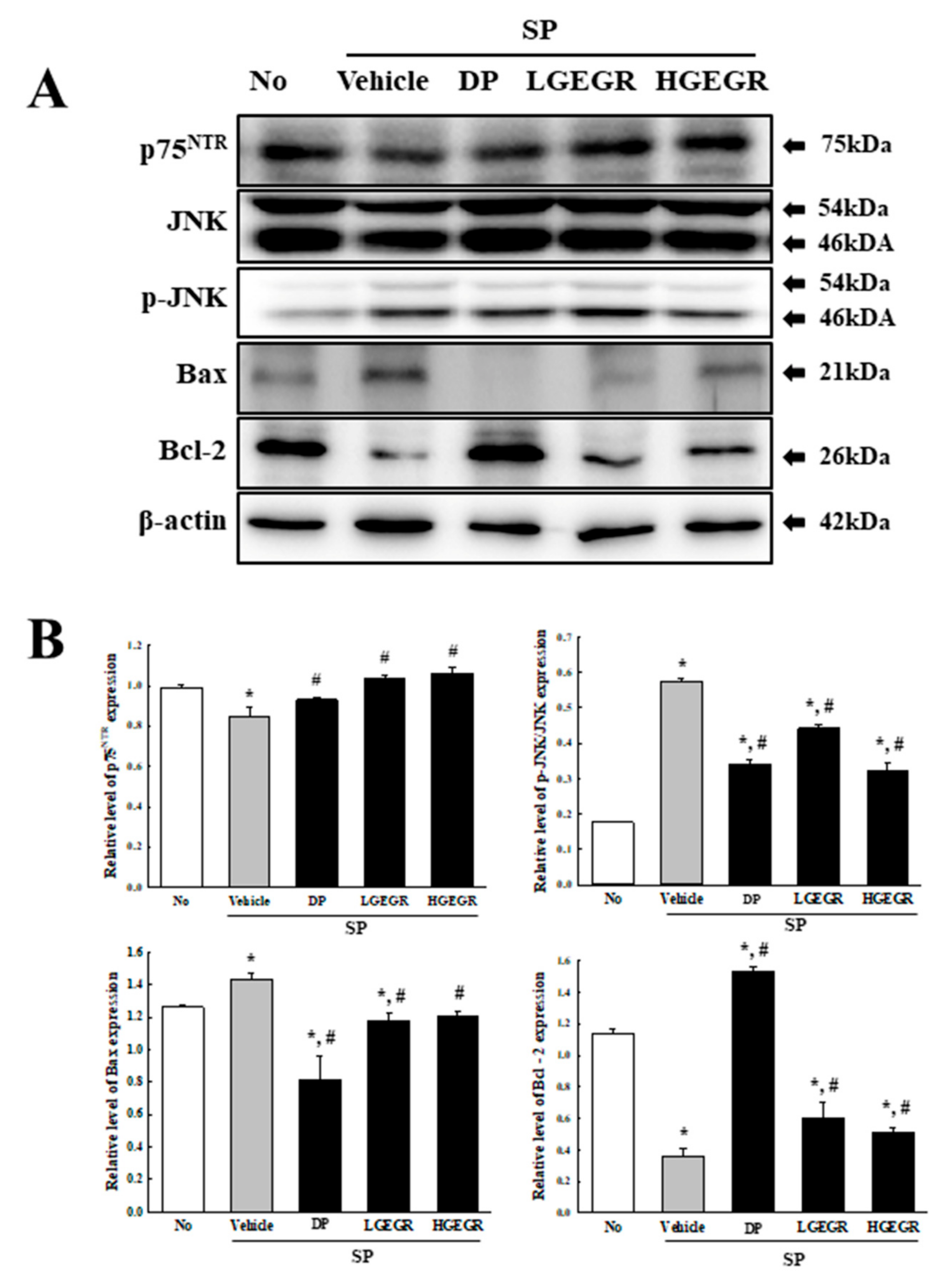 Antioxidants 08 00450 g006