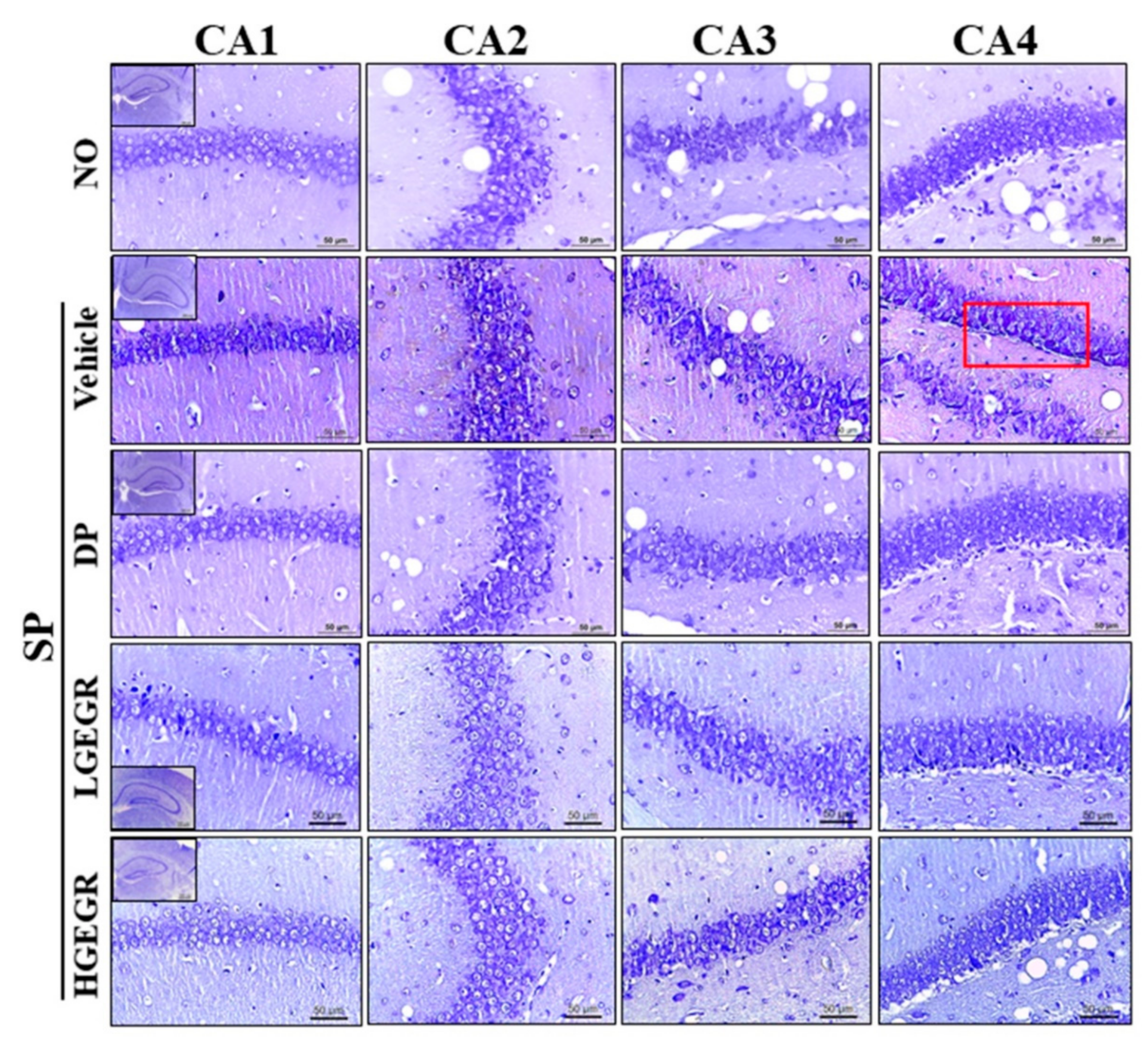 Antioxidants 08 00450 g007