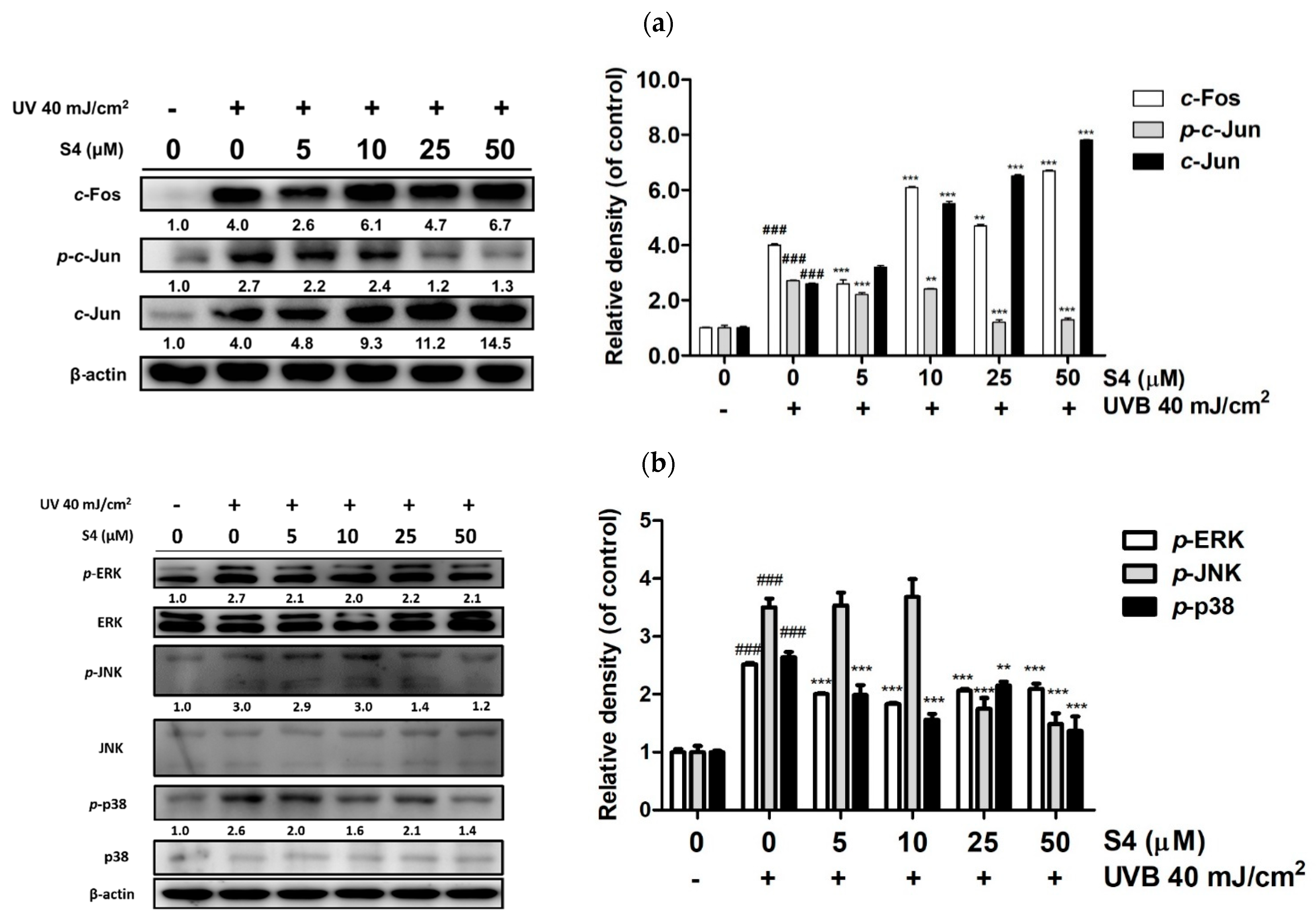 Antioxidants 08 00452 g004