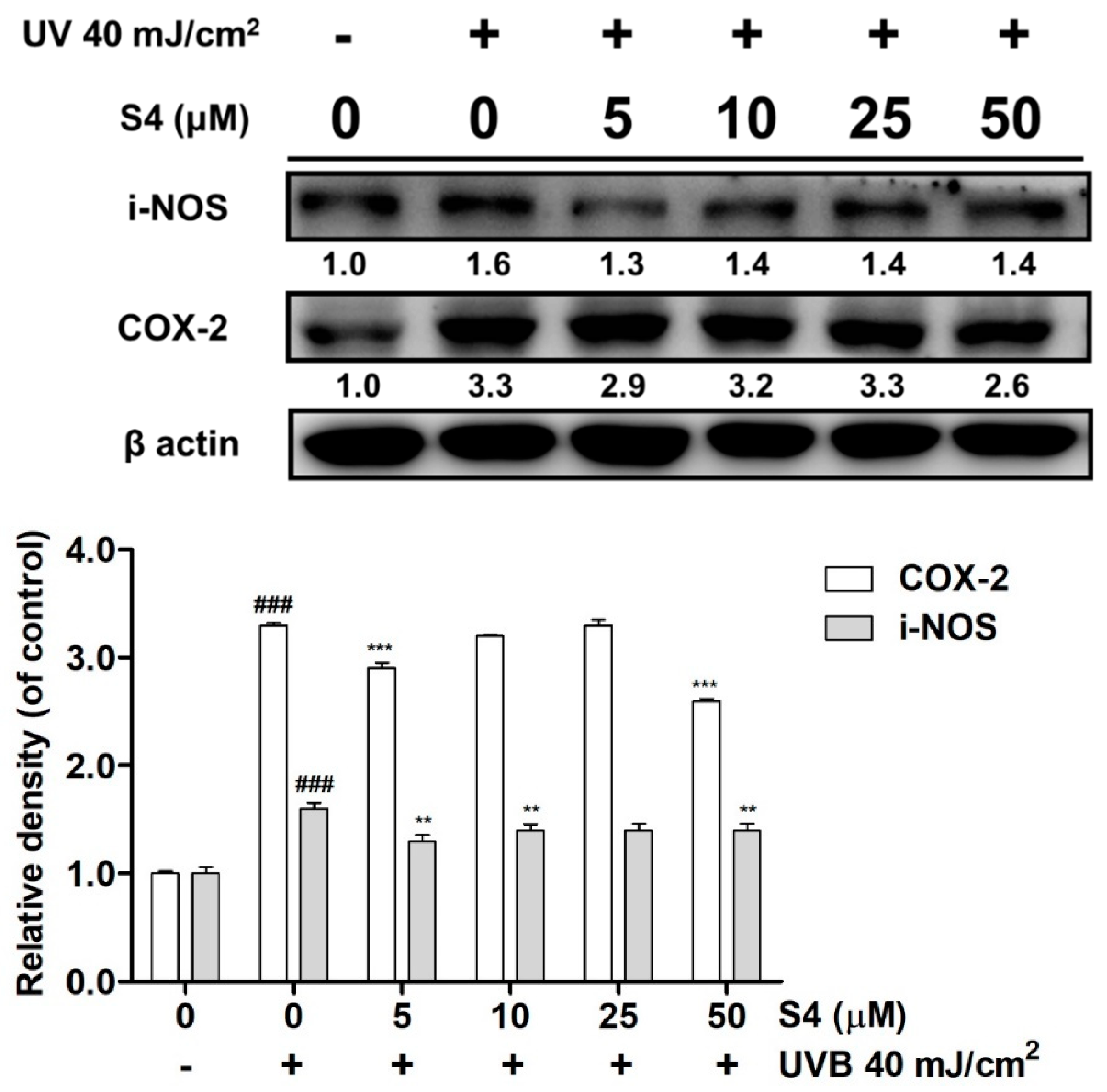 Antioxidants 08 00452 g007
