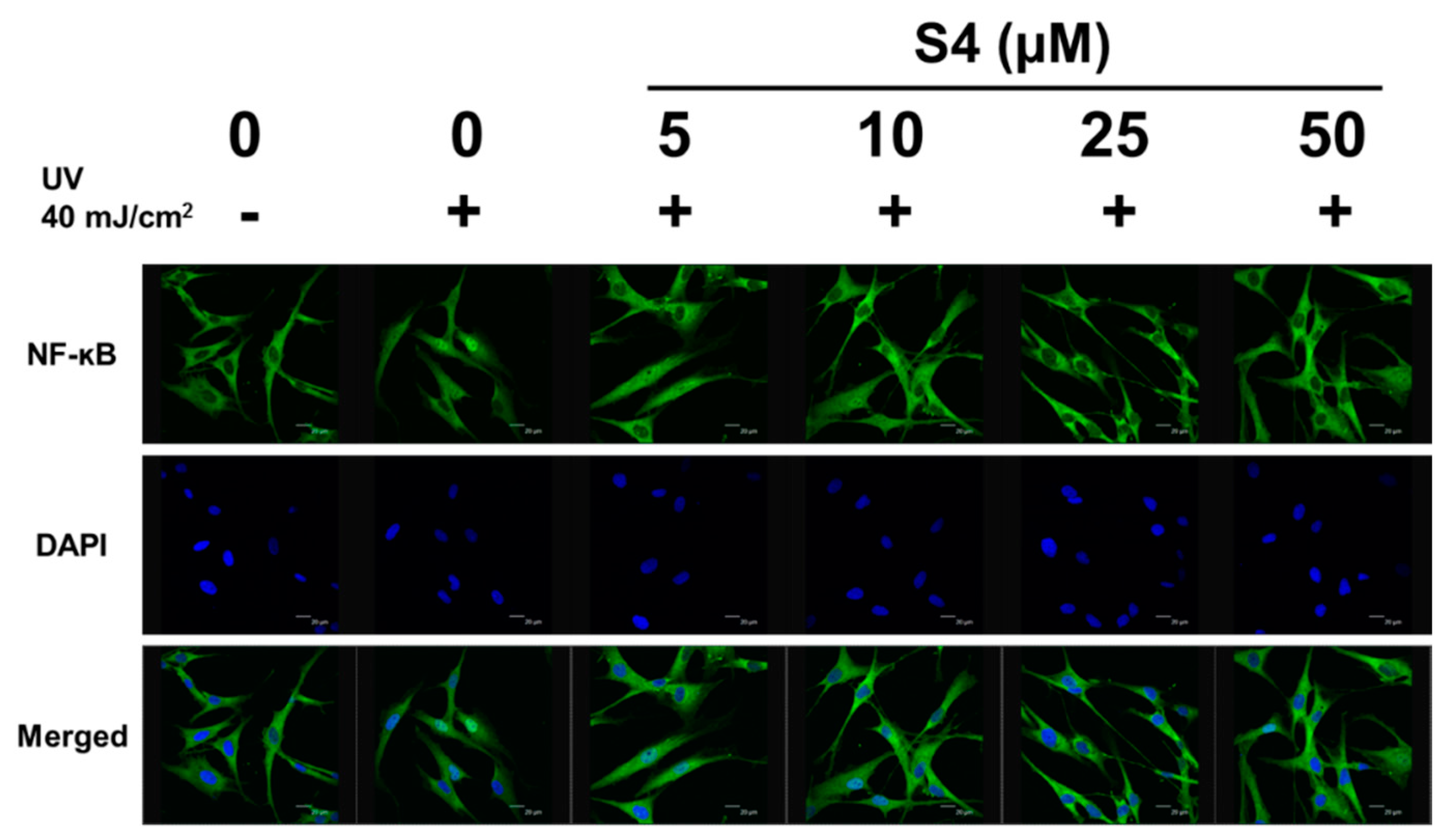 Antioxidants 08 00452 g008