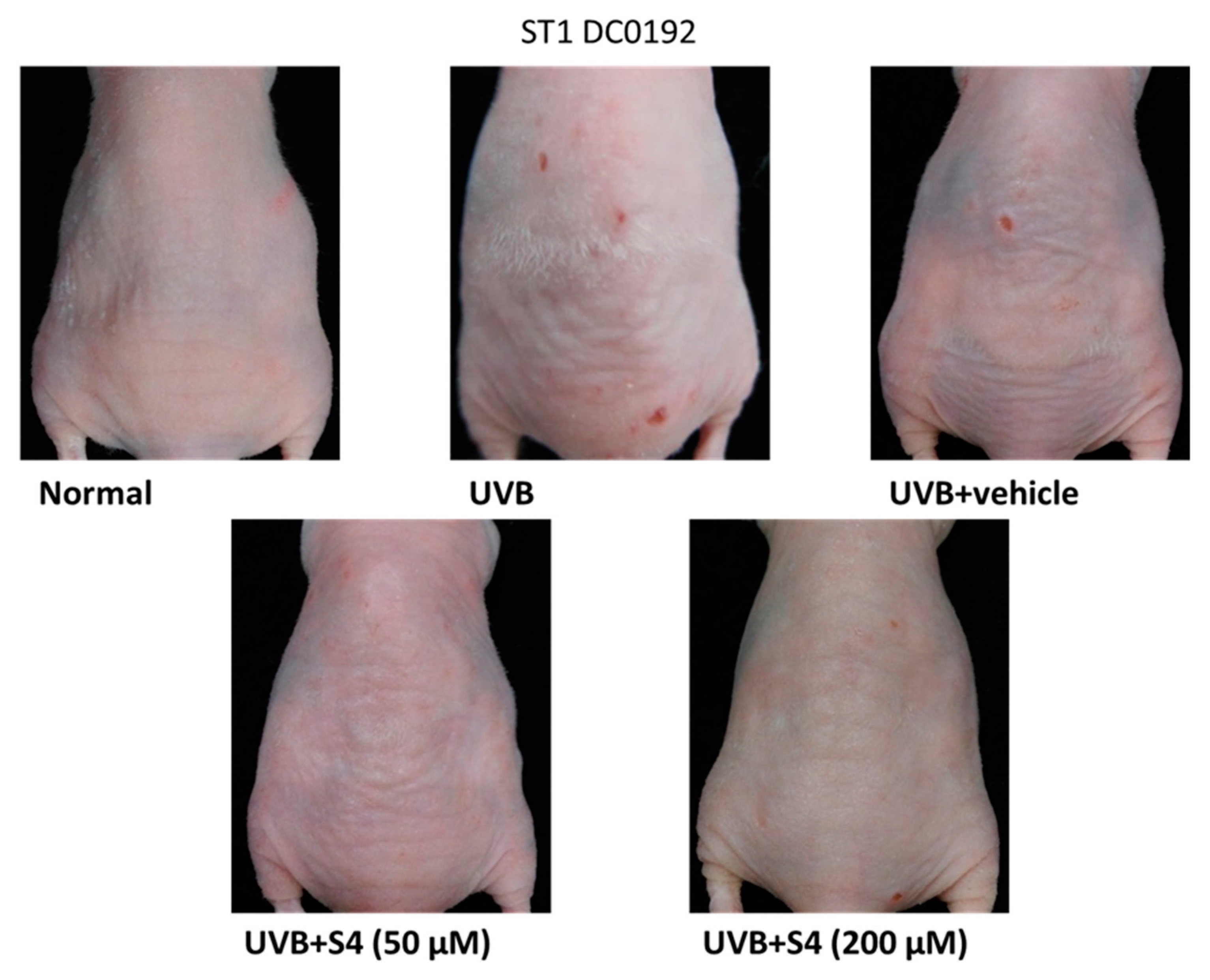 Antioxidants 08 00452 g011