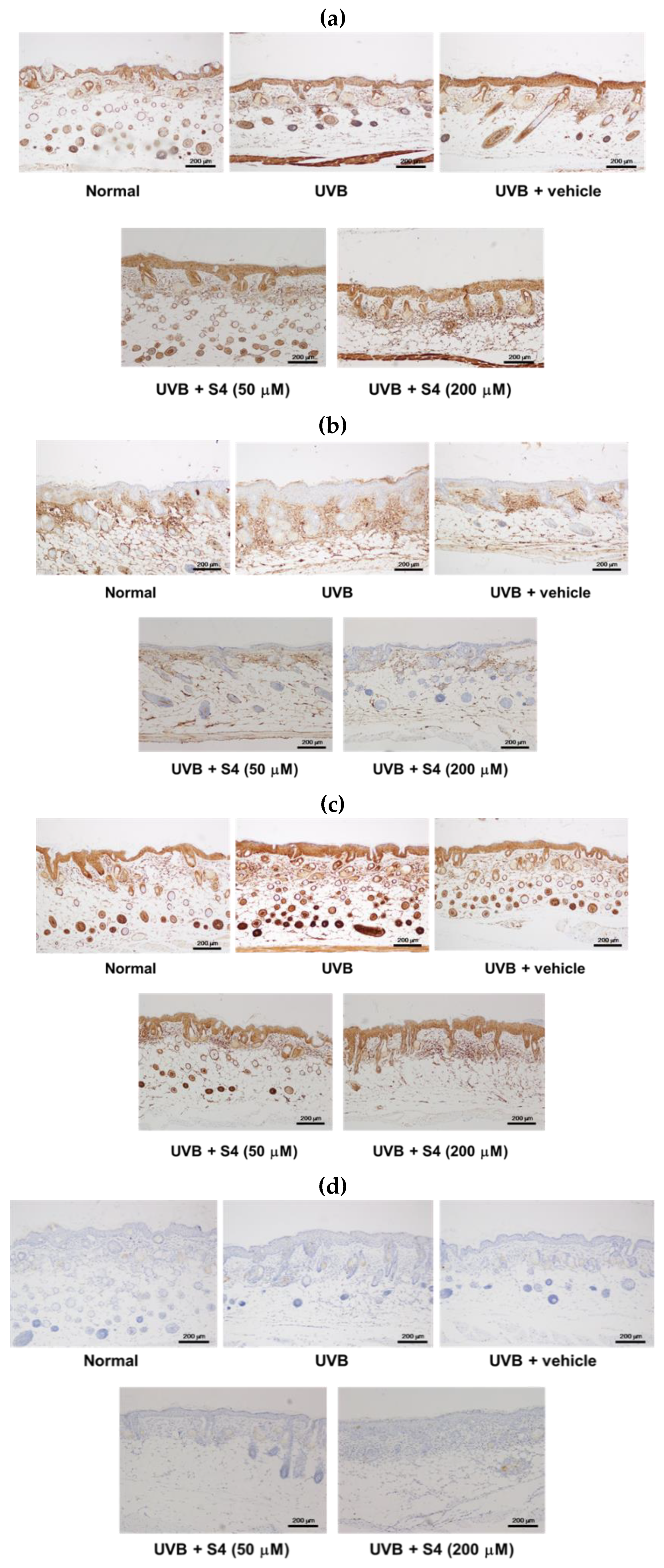 Antioxidants 08 00452 g015