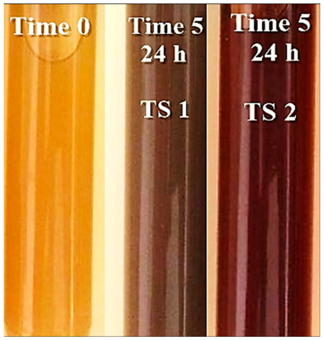 Antioxidants 08 00459 g001