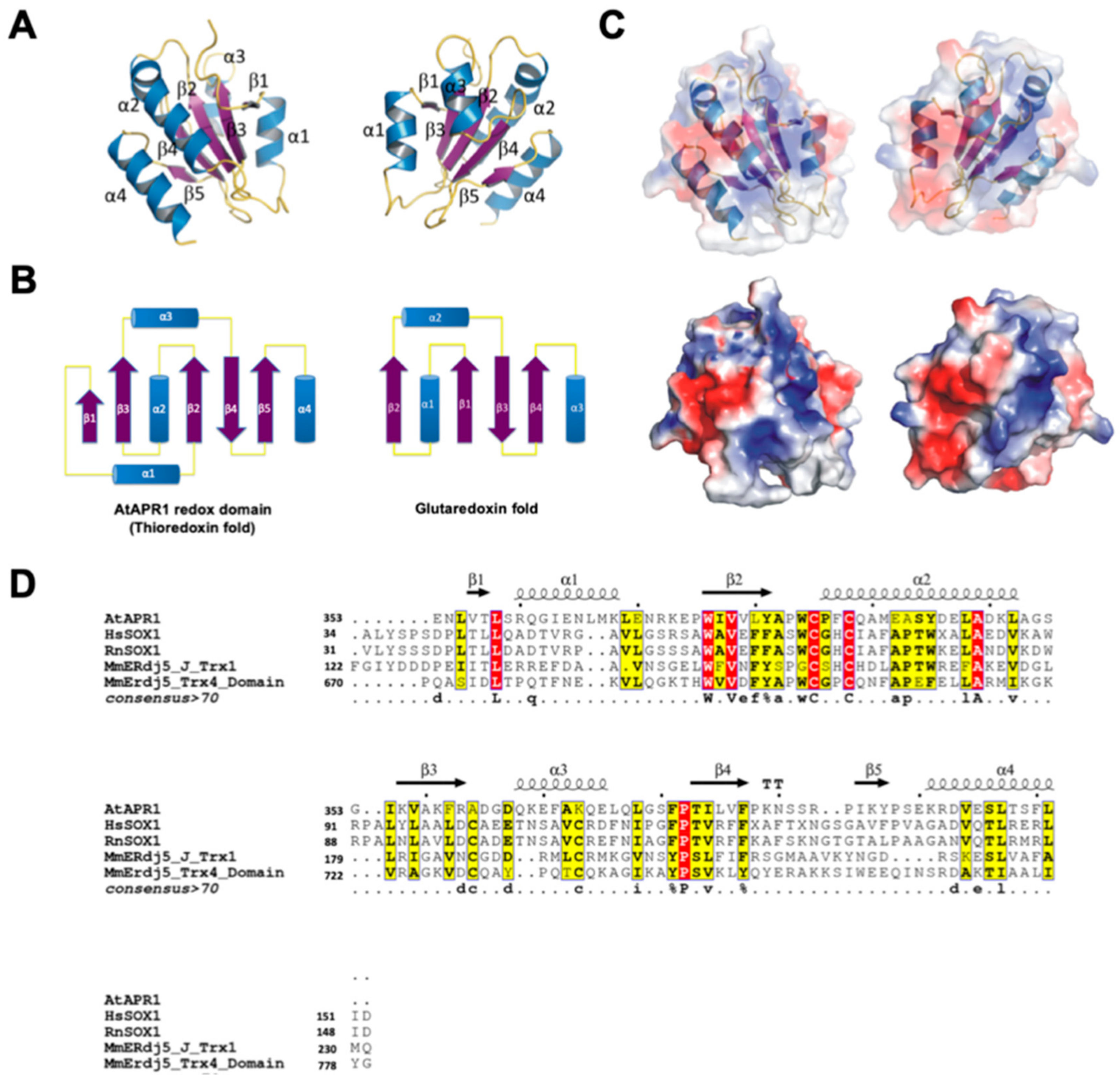 Antioxidants 08 00461 g002 Antioxidants 08 00461 g002
