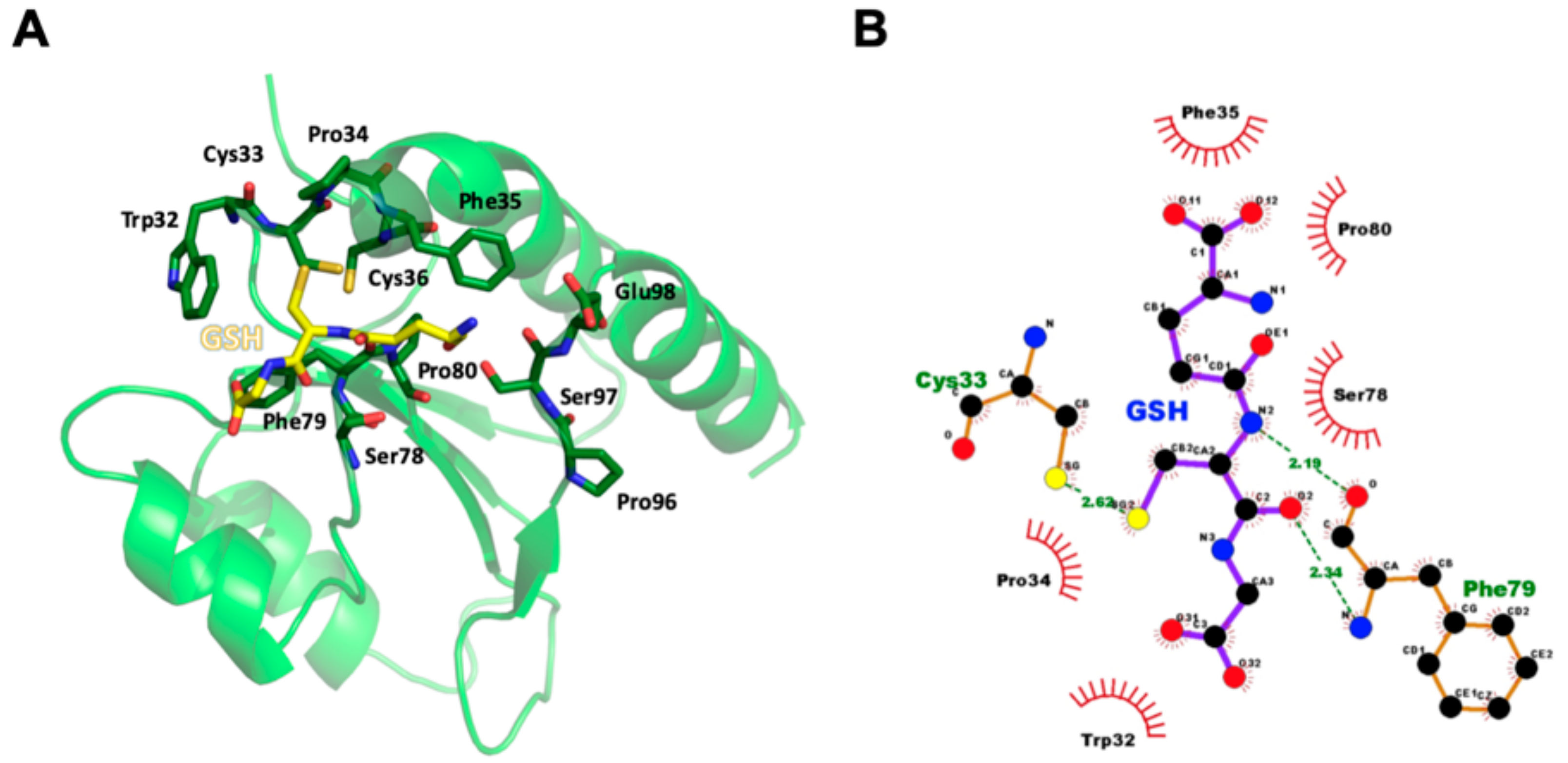Antioxidants 08 00461 g004 Antioxidants 08 00461 g004