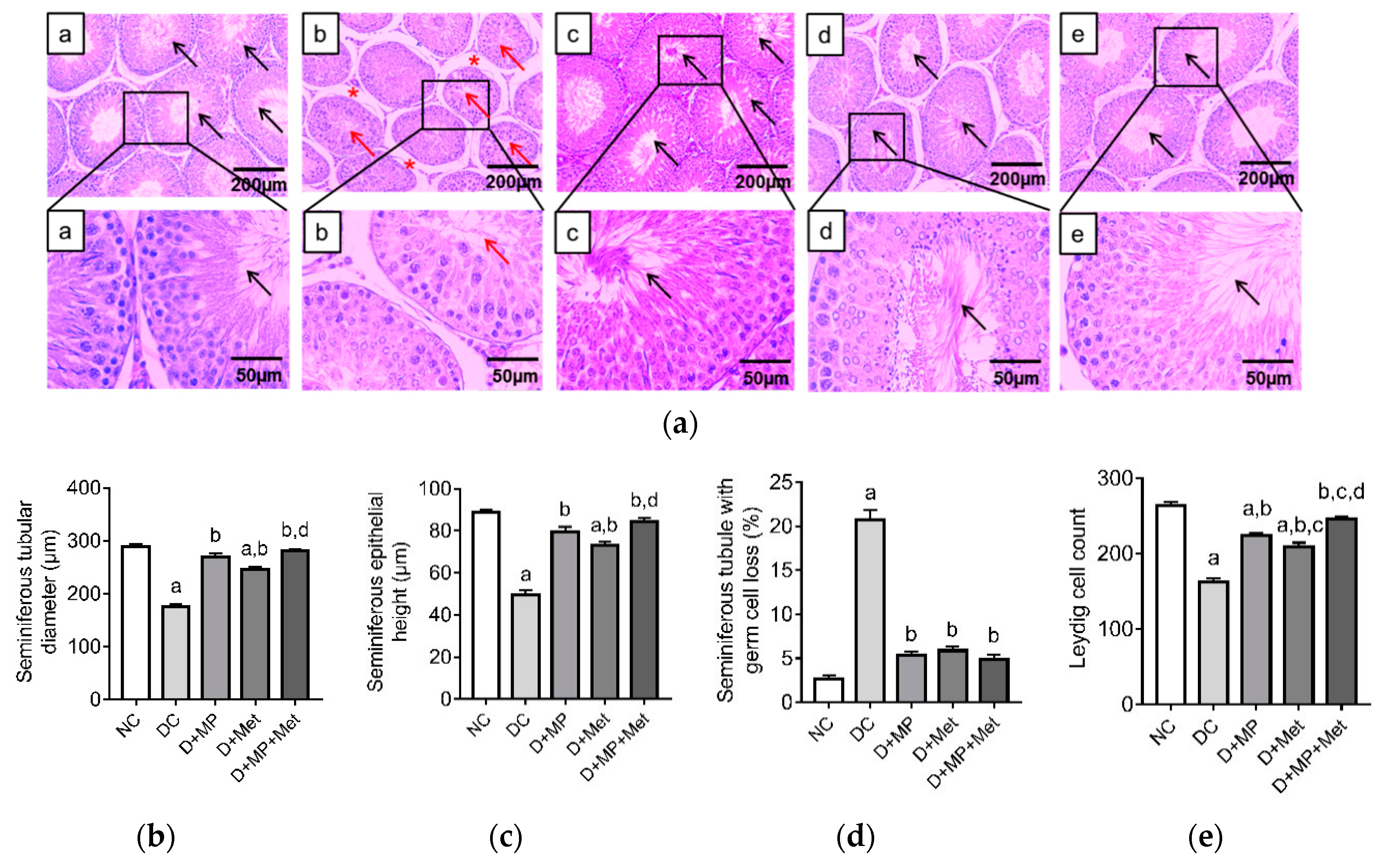 Antioxidants 08 00465 g002