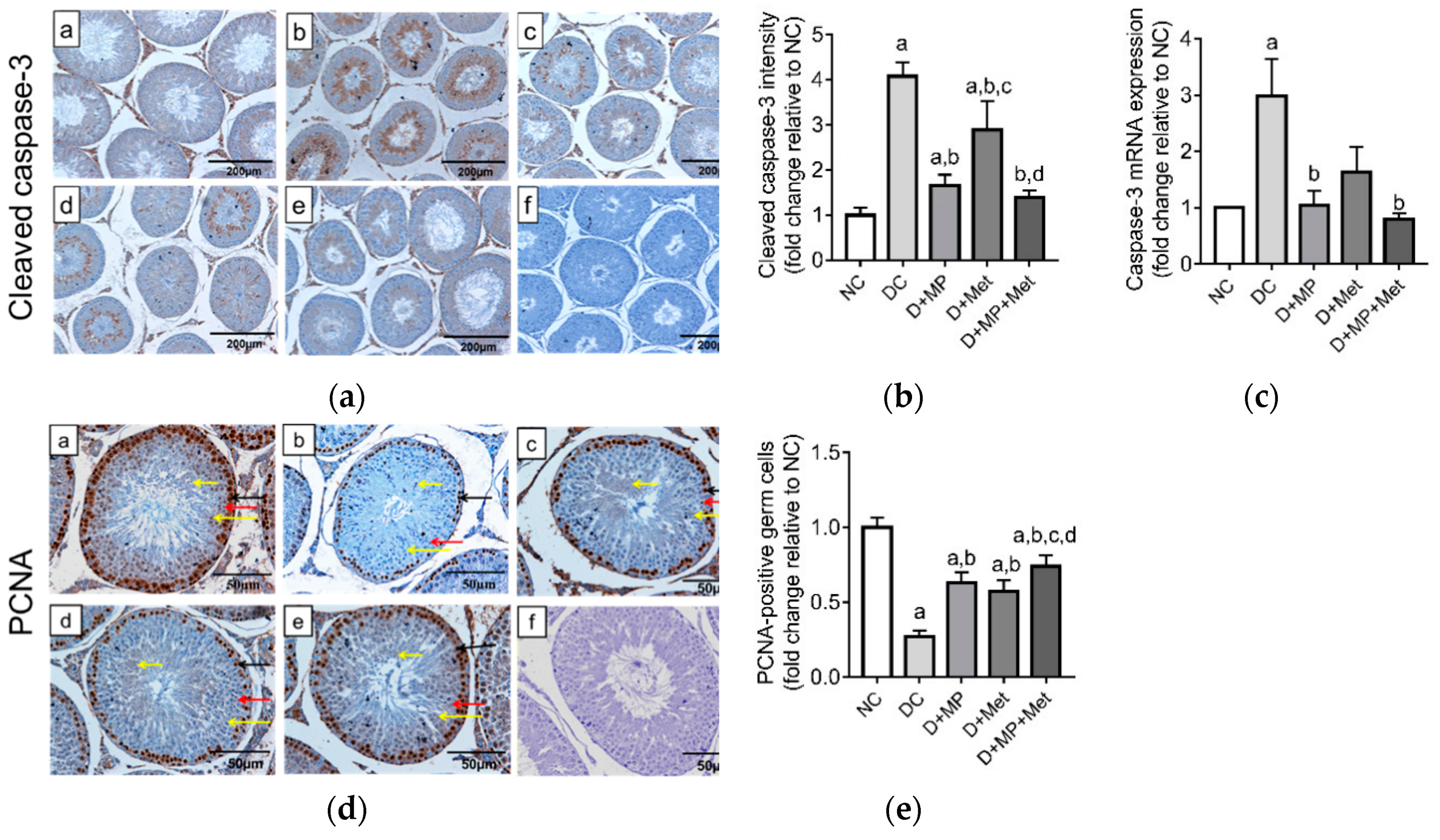 Antioxidants 08 00465 g008