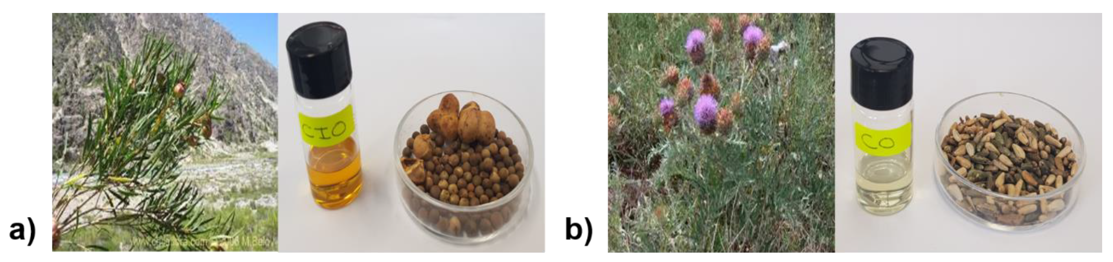 Antioxidants 08 00470 g001