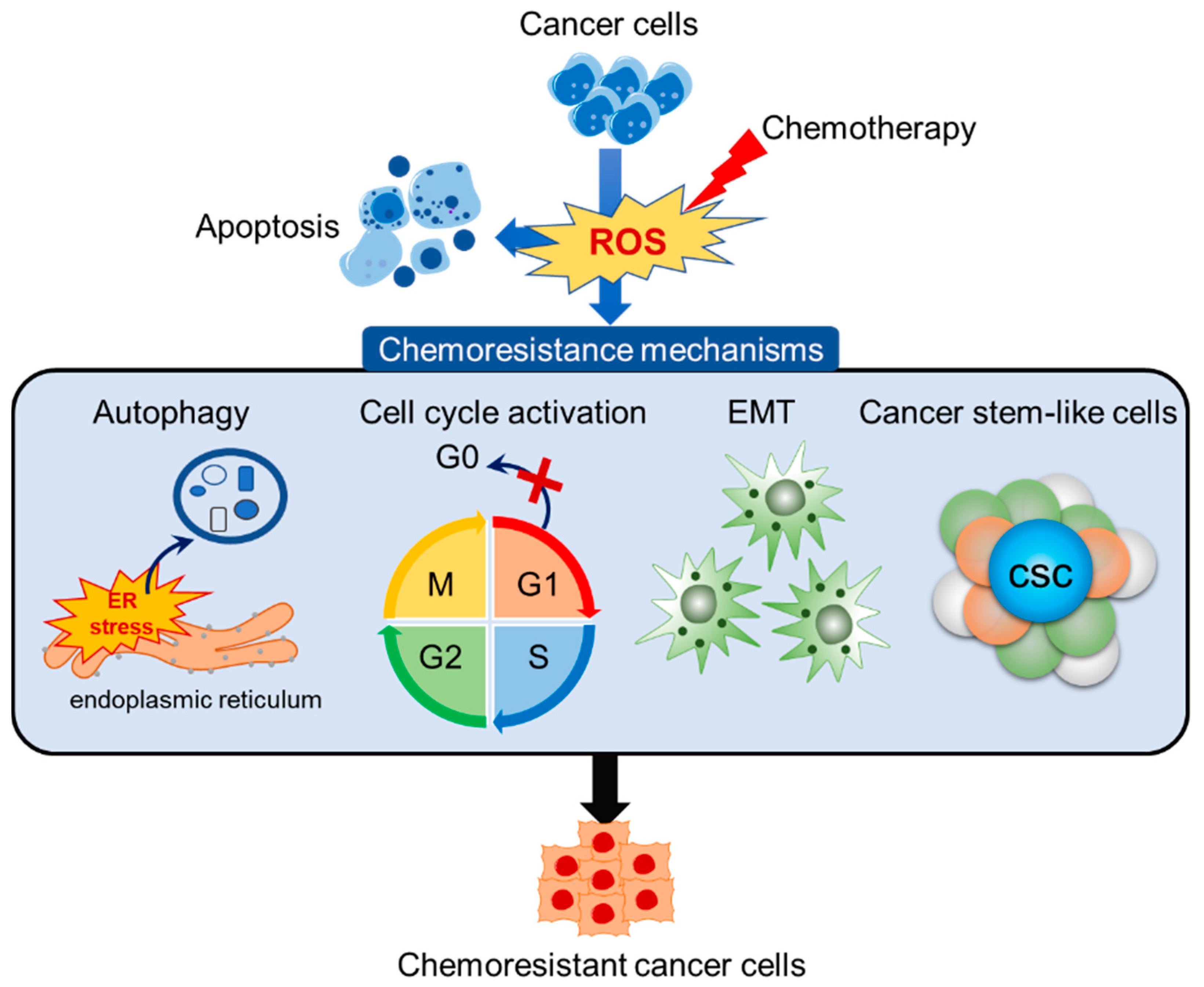 Antioxidants 08 00471 g003