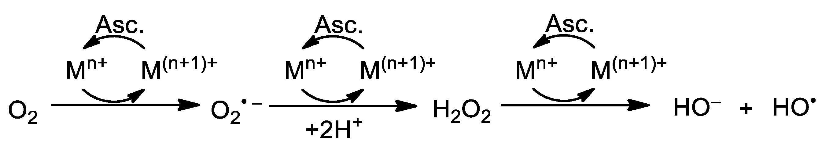 Antioxidants 08 00473 g003