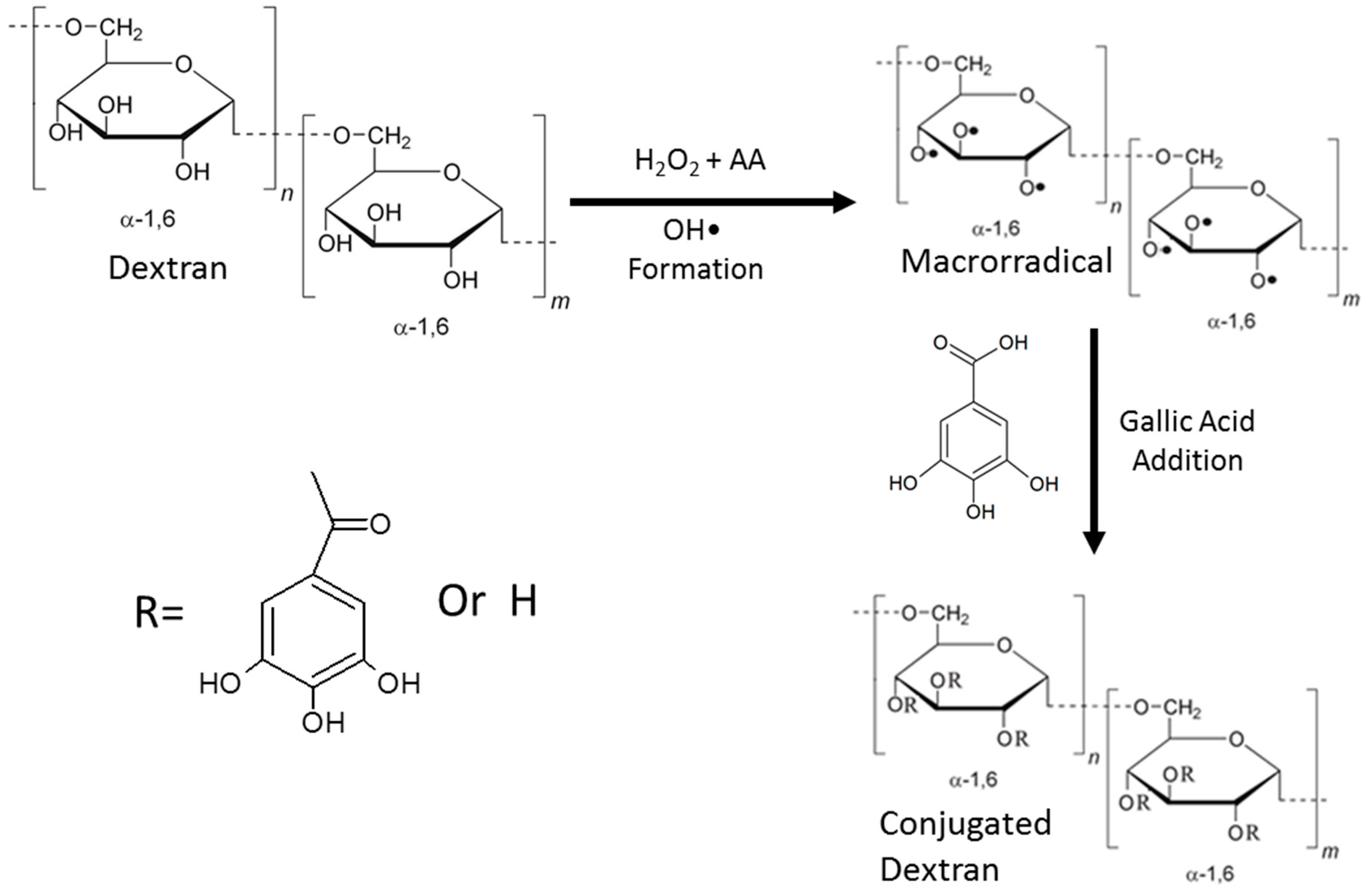Antioxidants 08 00478 g001