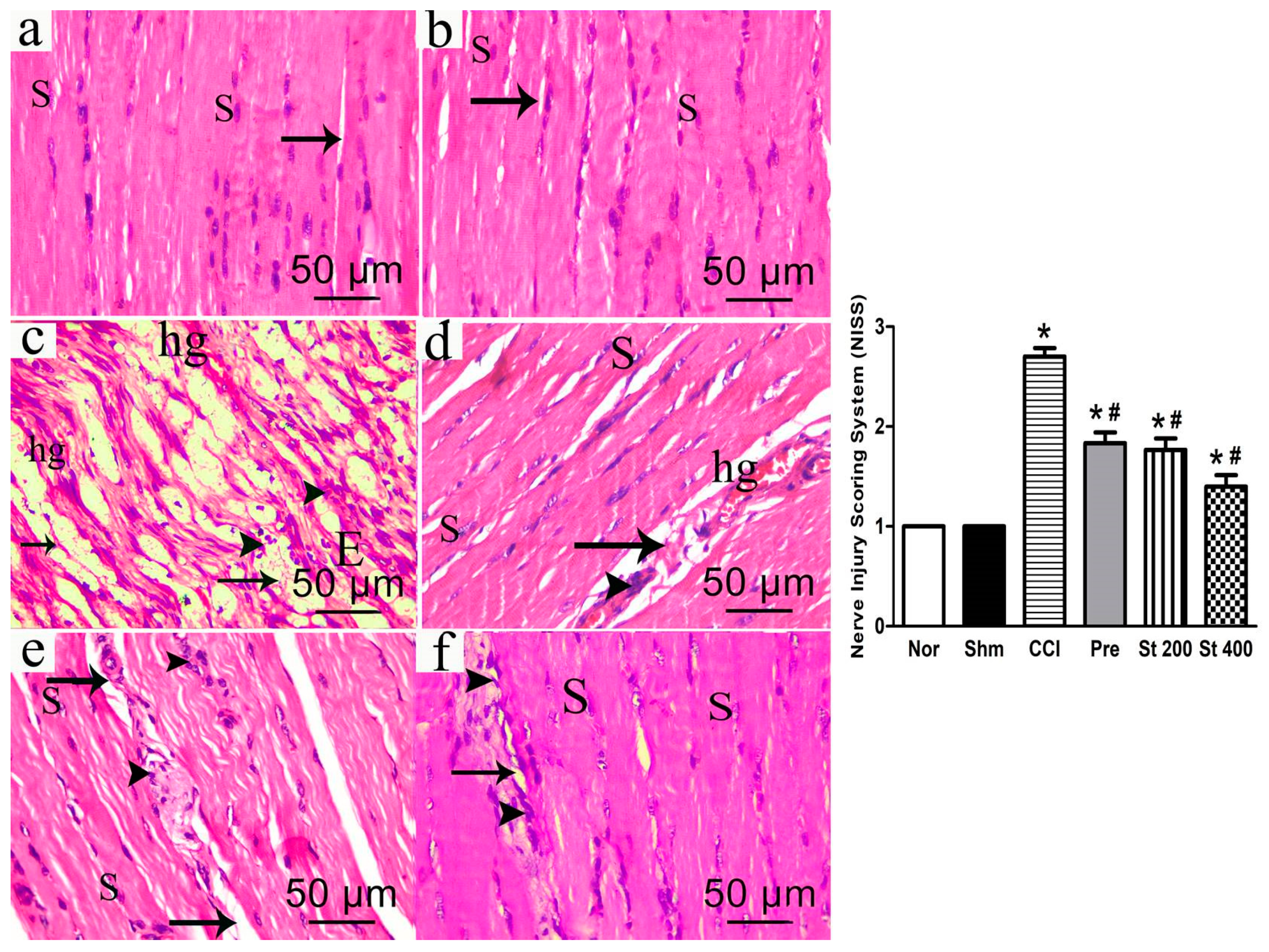 Antioxidants 08 00482 g006