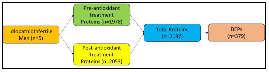 Antioxidants 08 00488 g002