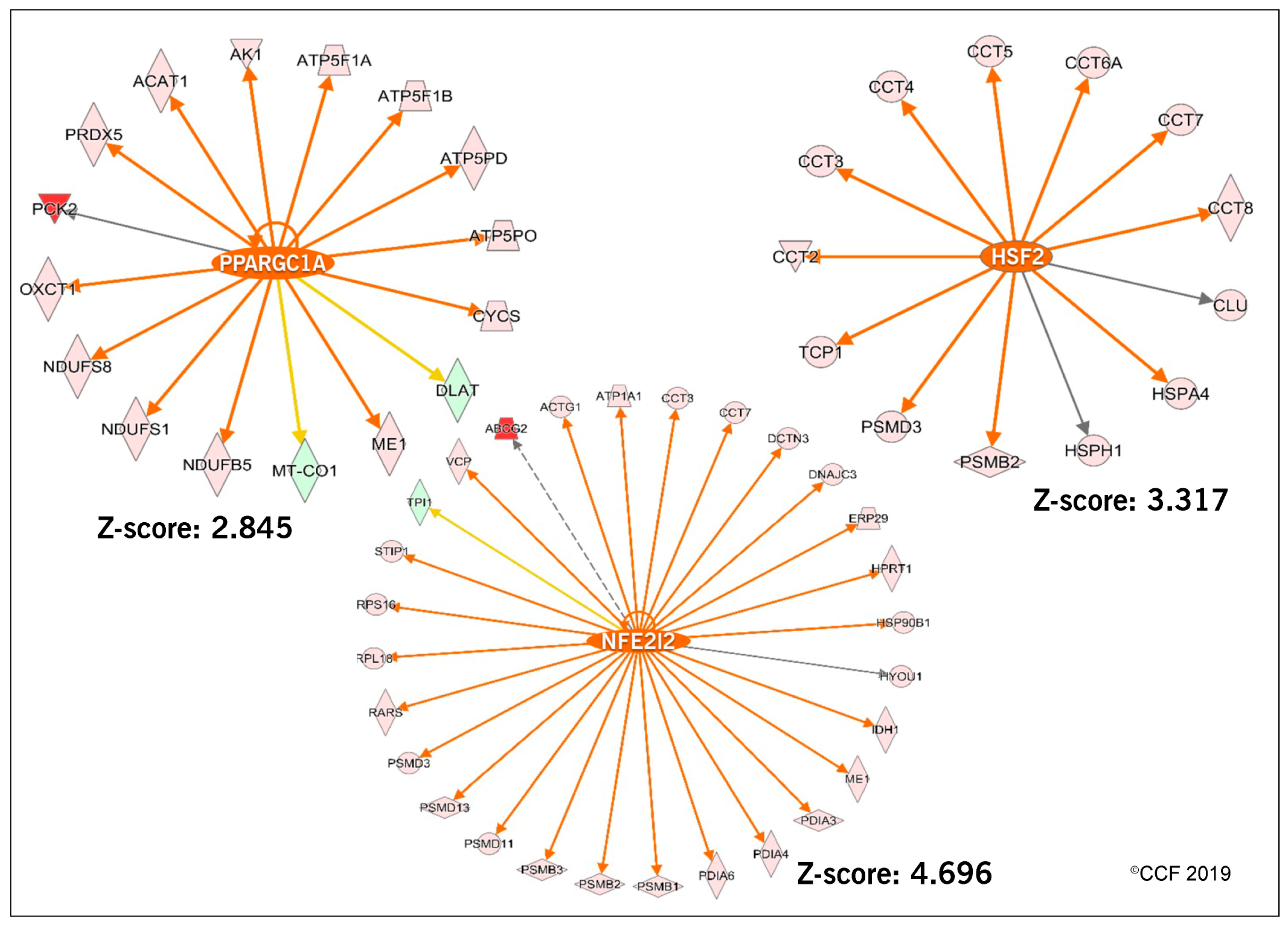 Antioxidants 08 00488 g005
