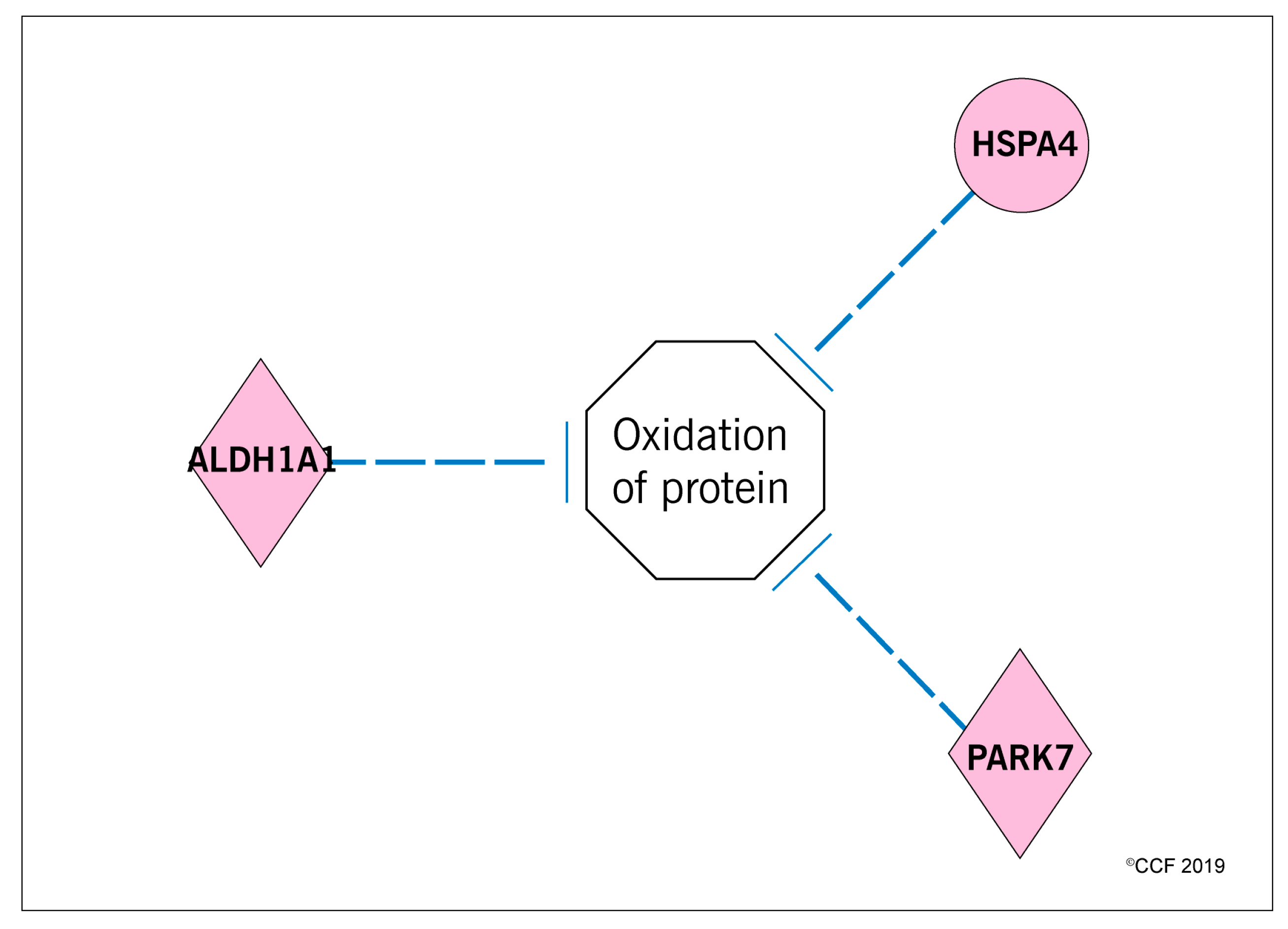 Antioxidants 08 00488 g007