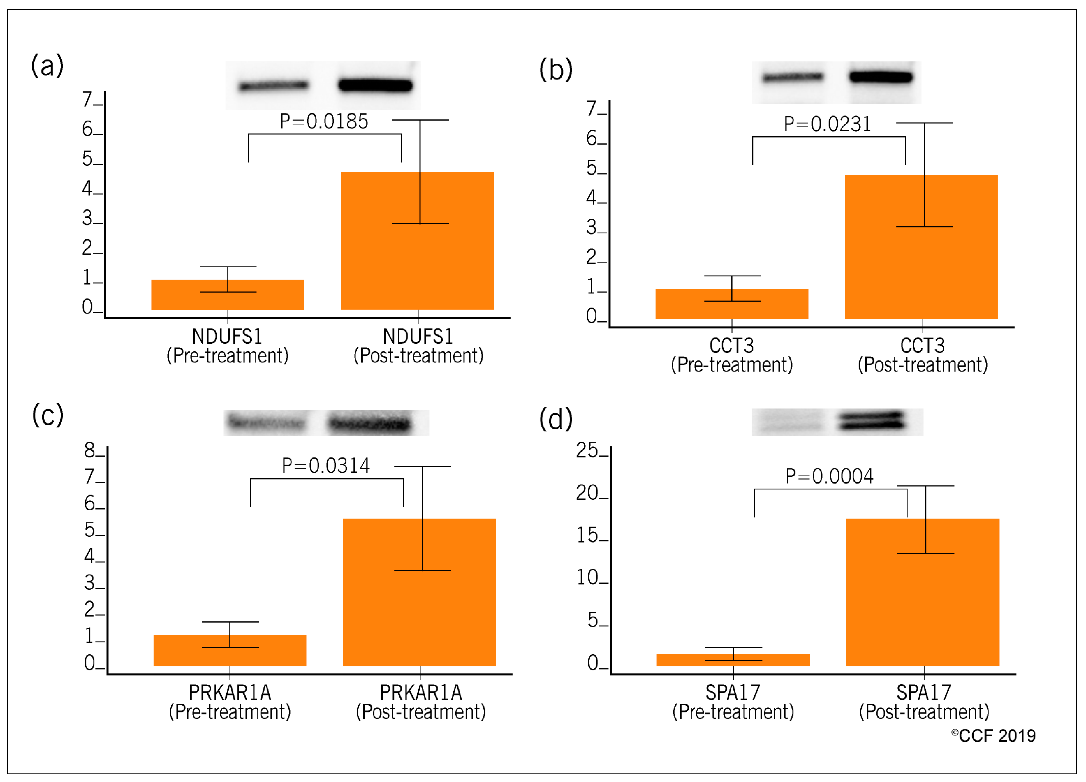 Antioxidants 08 00488 g008