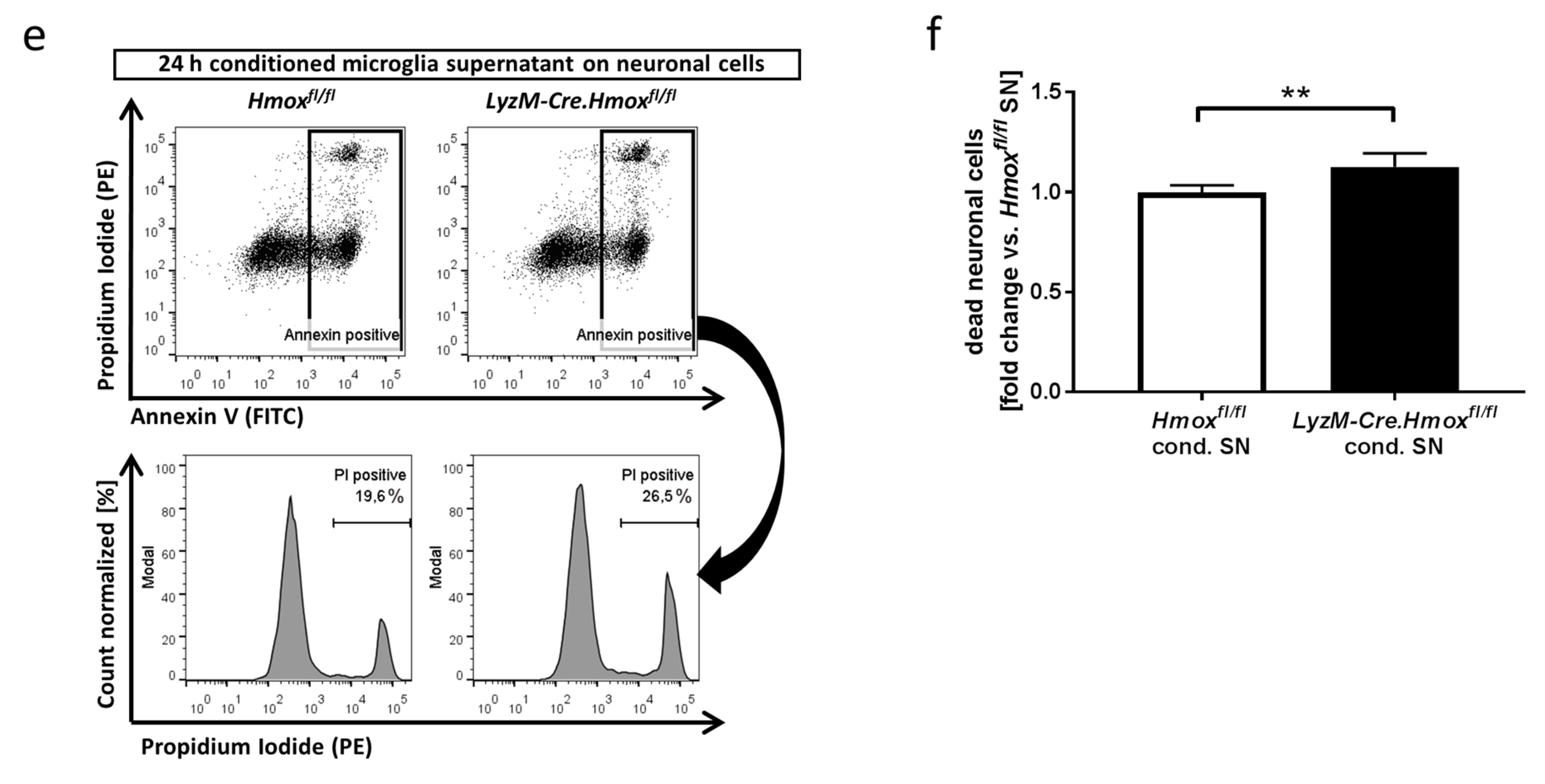 Antioxidants 08 00496 g005b Antioxidants 08 00496 g005b