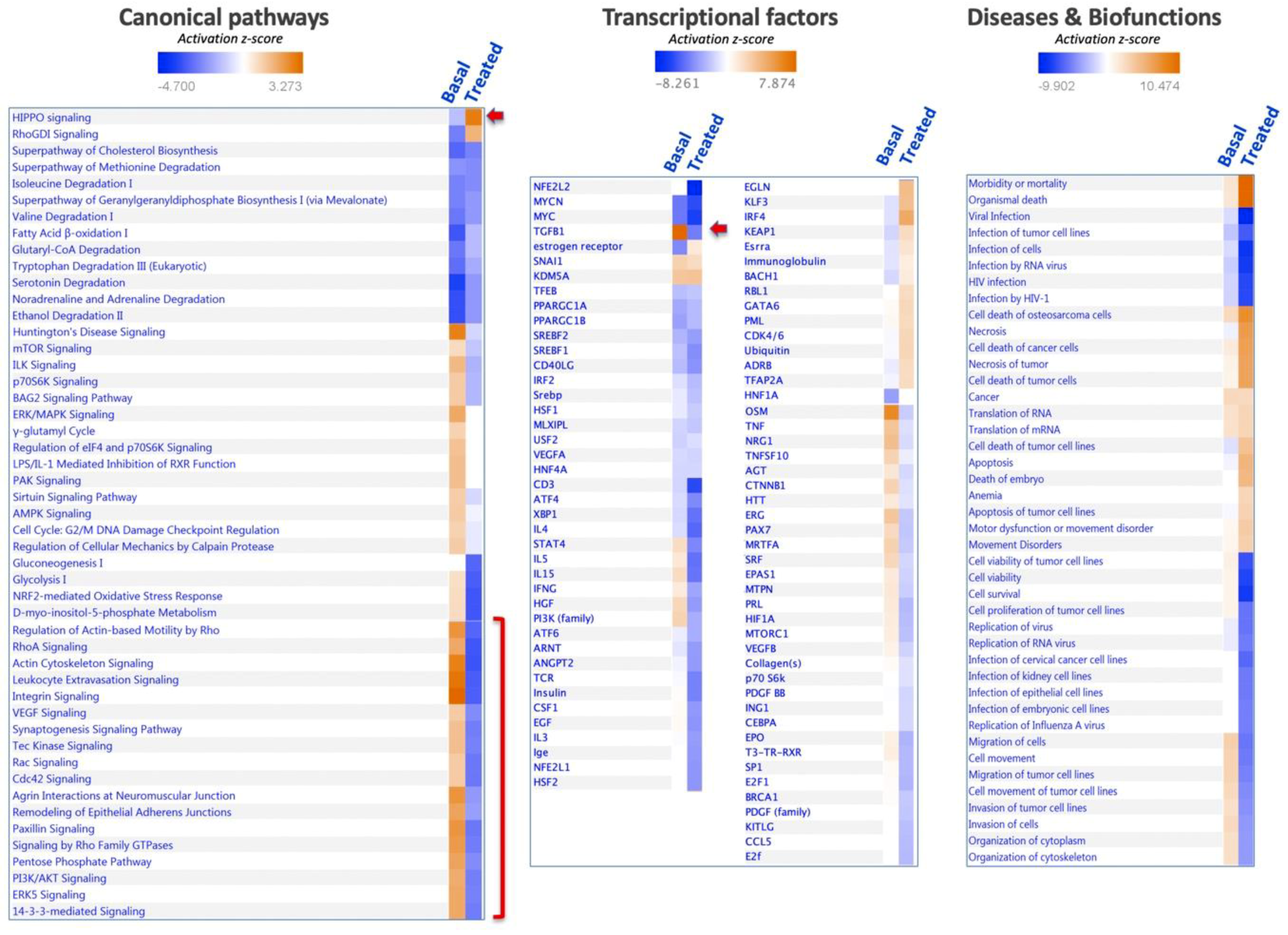 Antioxidants 08 00501 g007