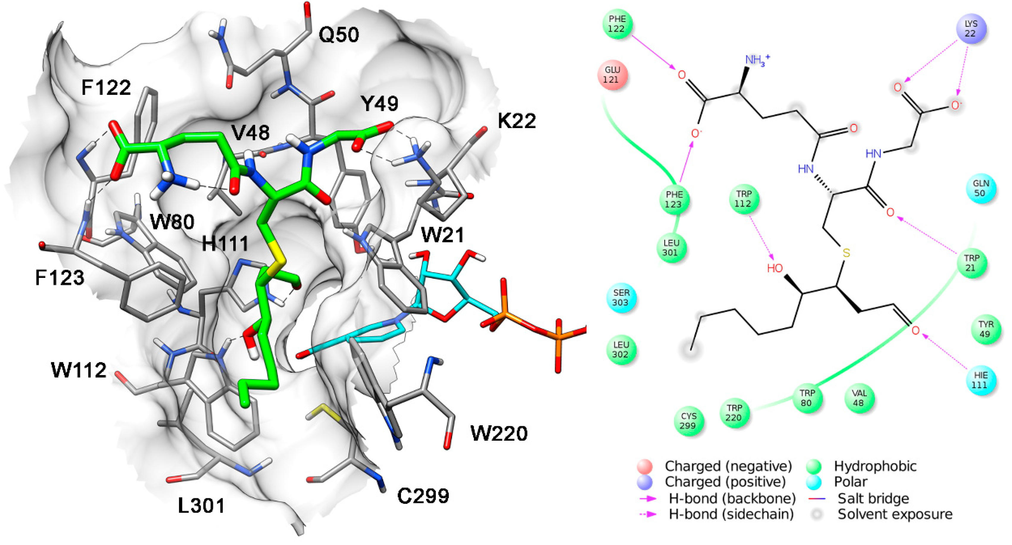 Antioxidants 08 00502 g005
